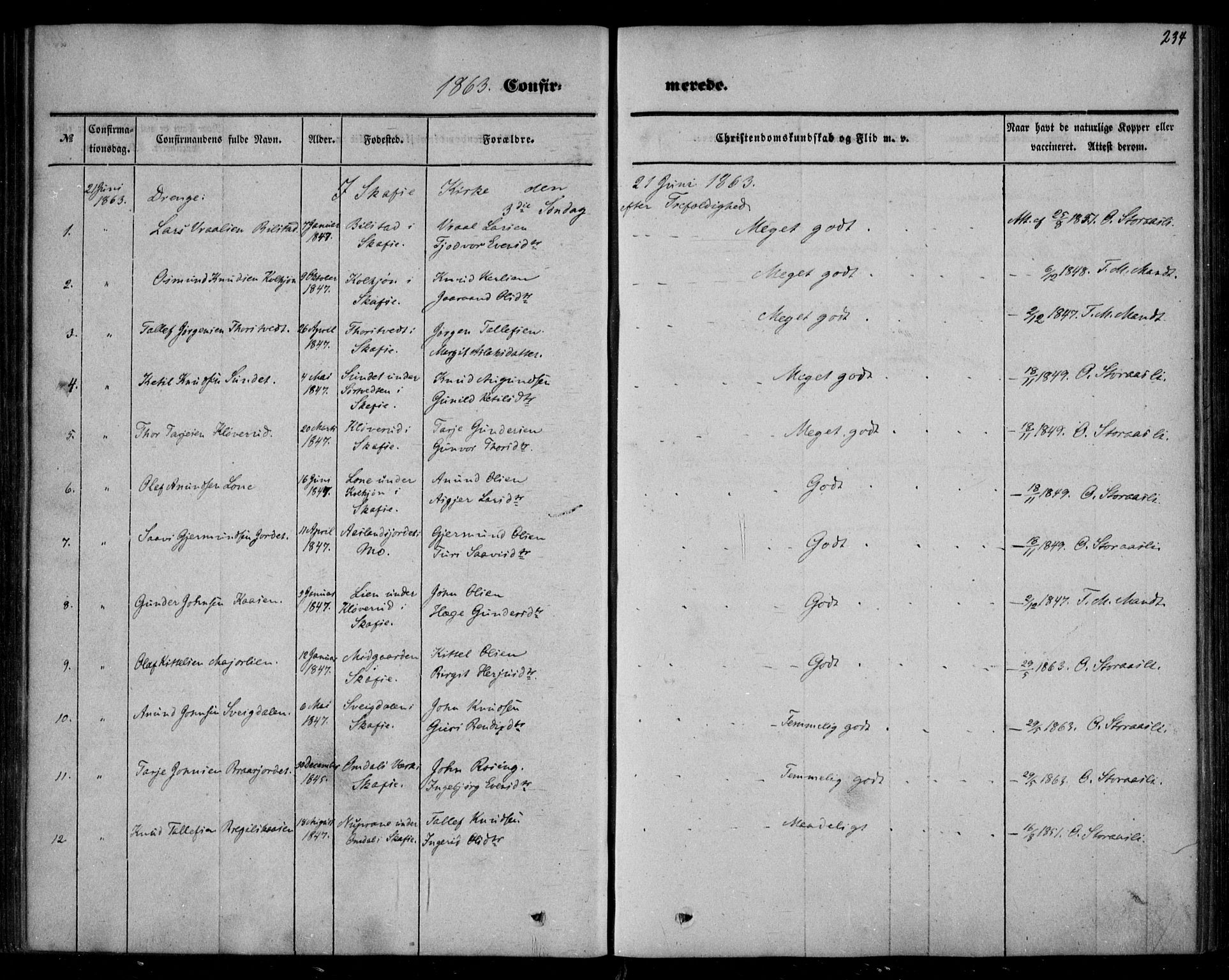 Mo kirkebøker, AV/SAKO-A-286/F/Fa/L0005: Parish register (official) no. I 5, 1844-1864, p. 234