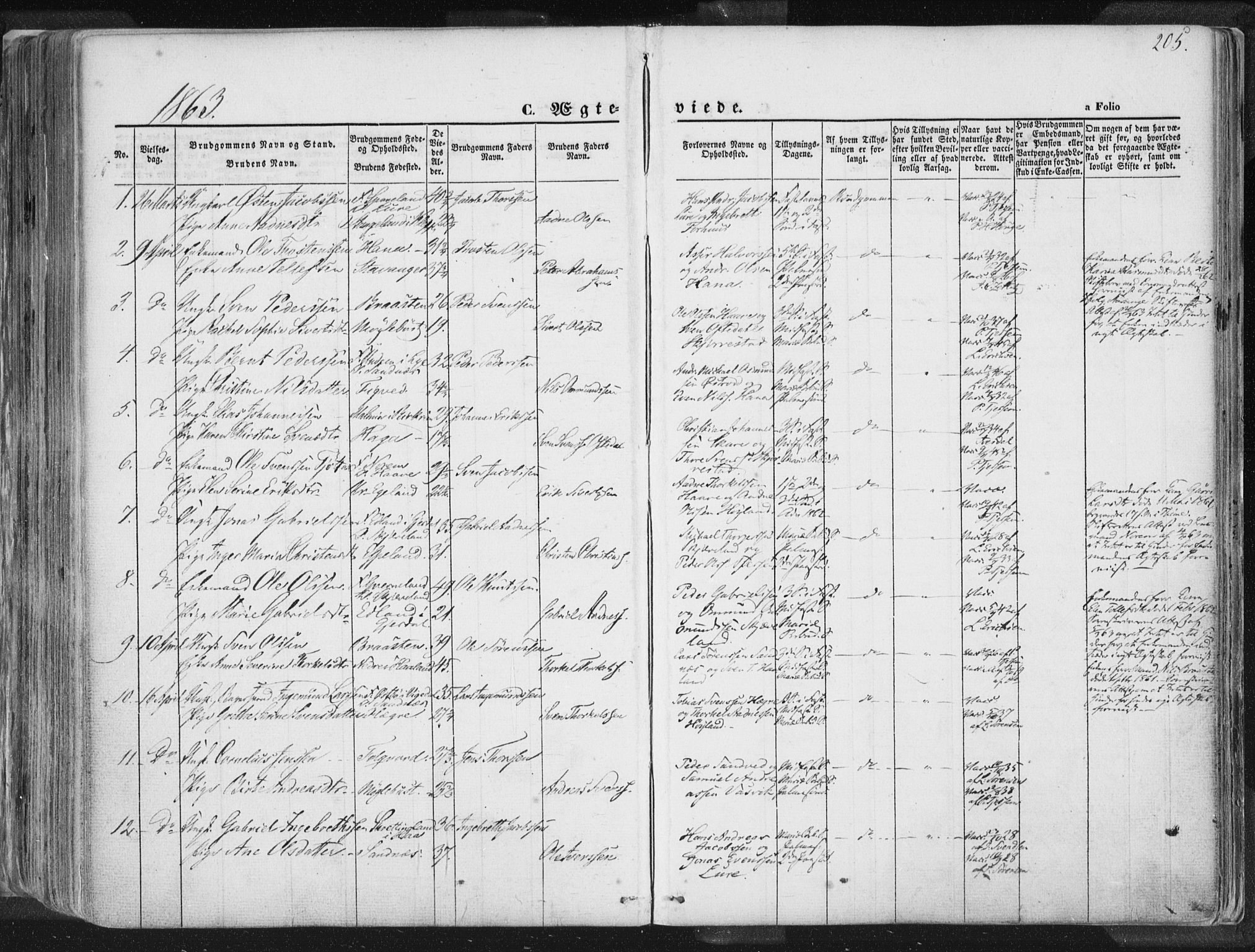 Høyland sokneprestkontor, SAST/A-101799/001/30BA/L0010: Parish register (official) no. A 9.1, 1857-1877, p. 205