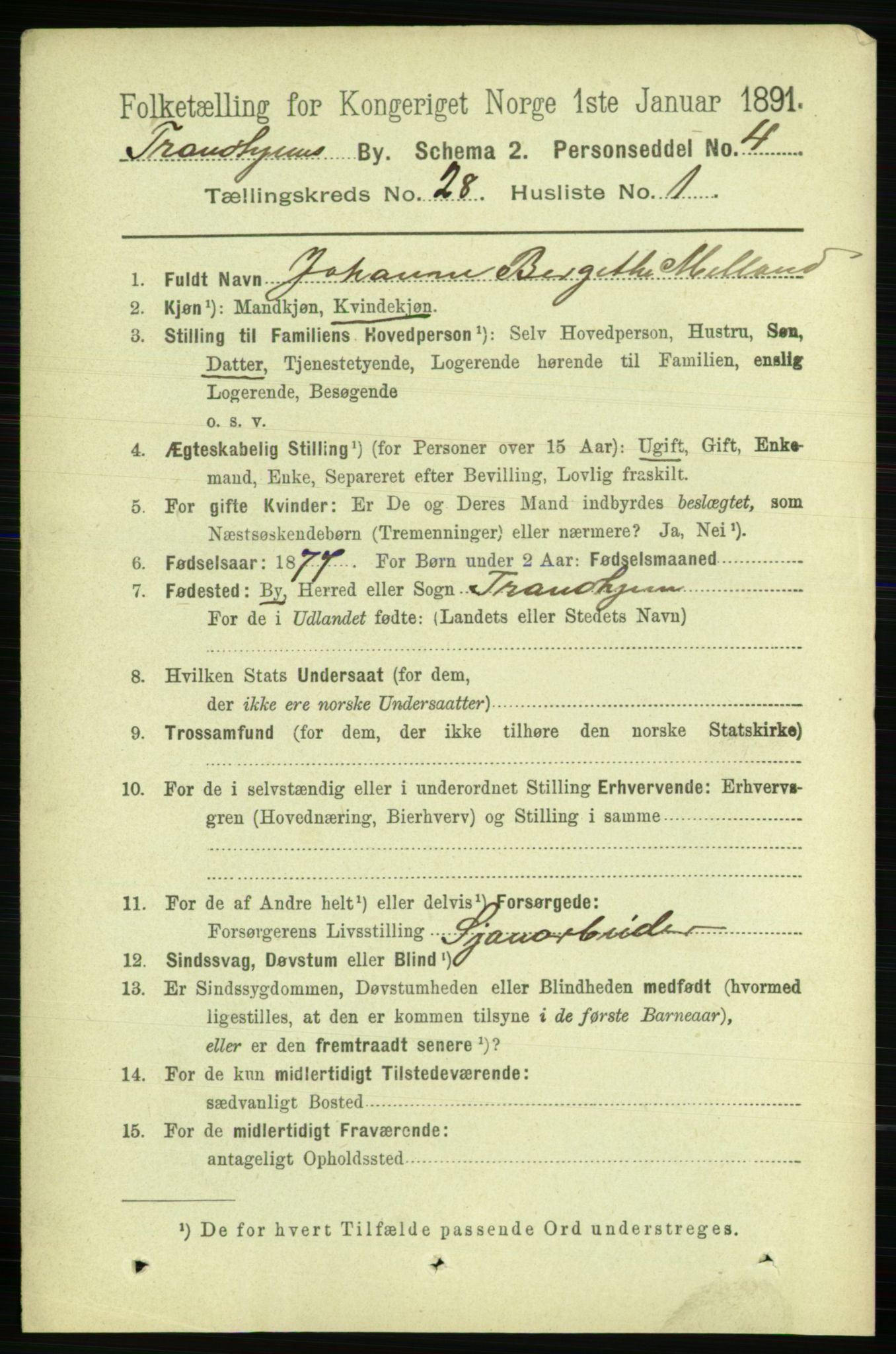 RA, 1891 census for 1601 Trondheim, 1891, p. 20966