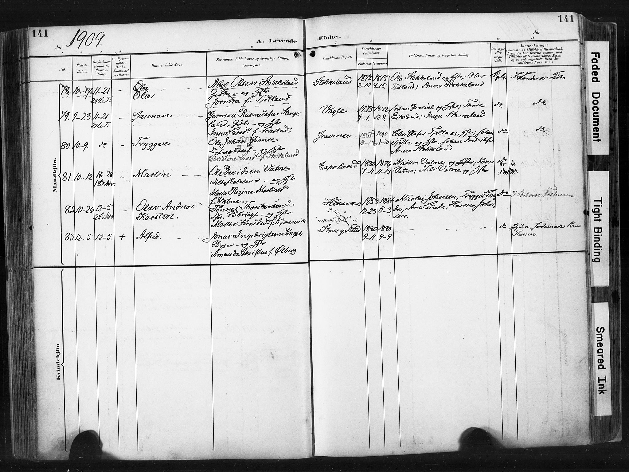 Høyland sokneprestkontor, AV/SAST-A-101799/001/30BA/L0015: Parish register (official) no. A 14, 1899-1911, p. 141