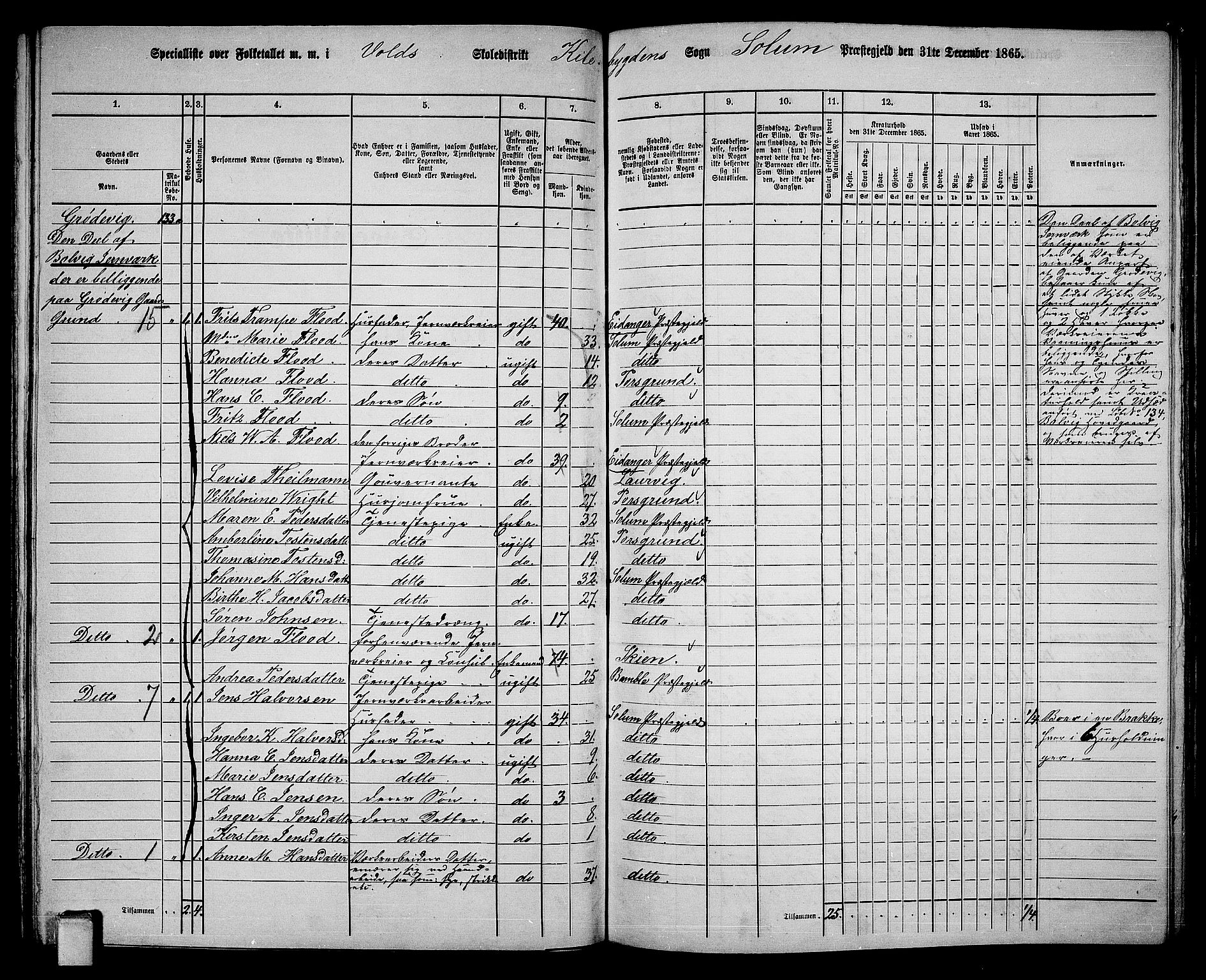 RA, 1865 census for Solum, 1865, p. 127