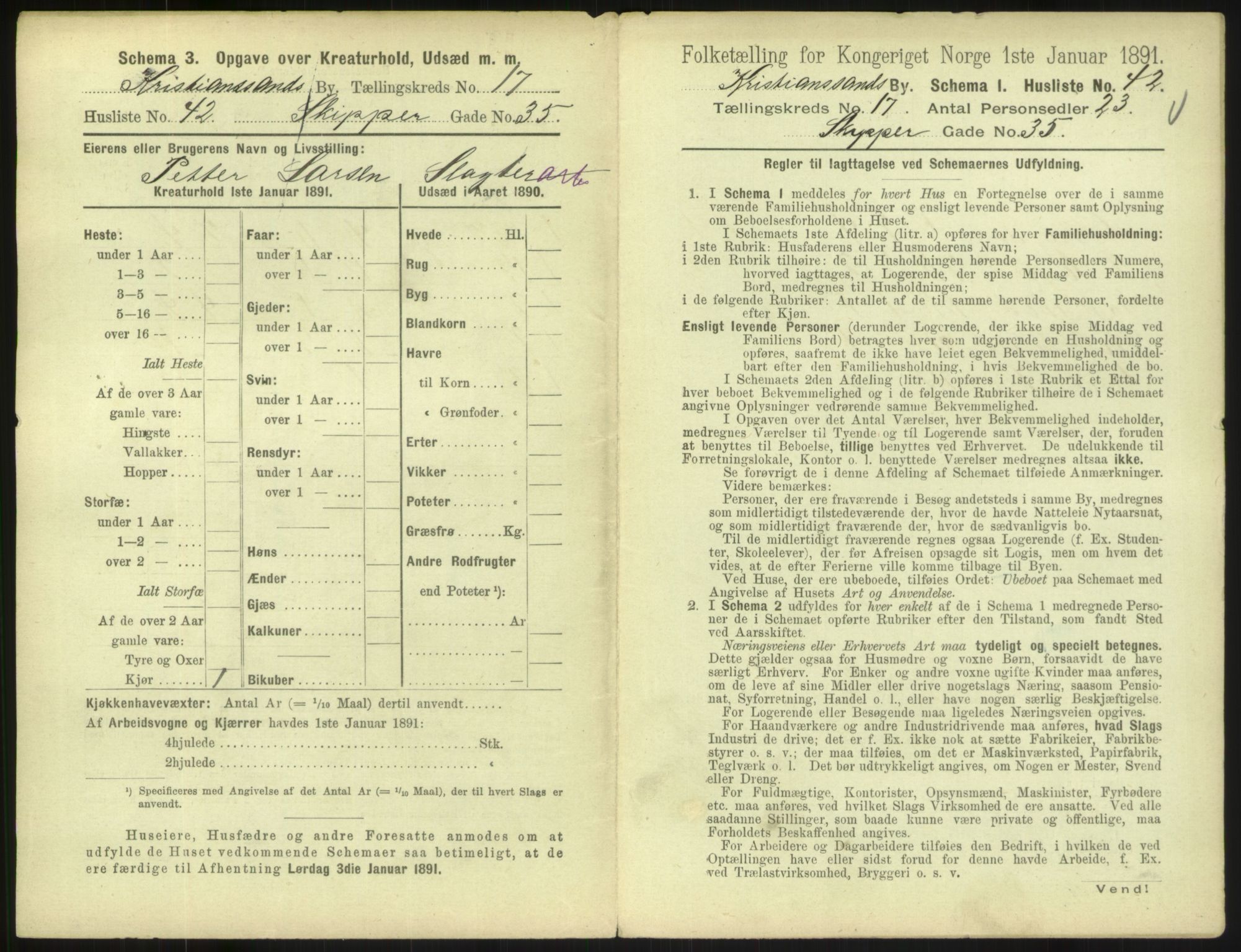 RA, 1891 census for 1001 Kristiansand, 1891, p. 1066