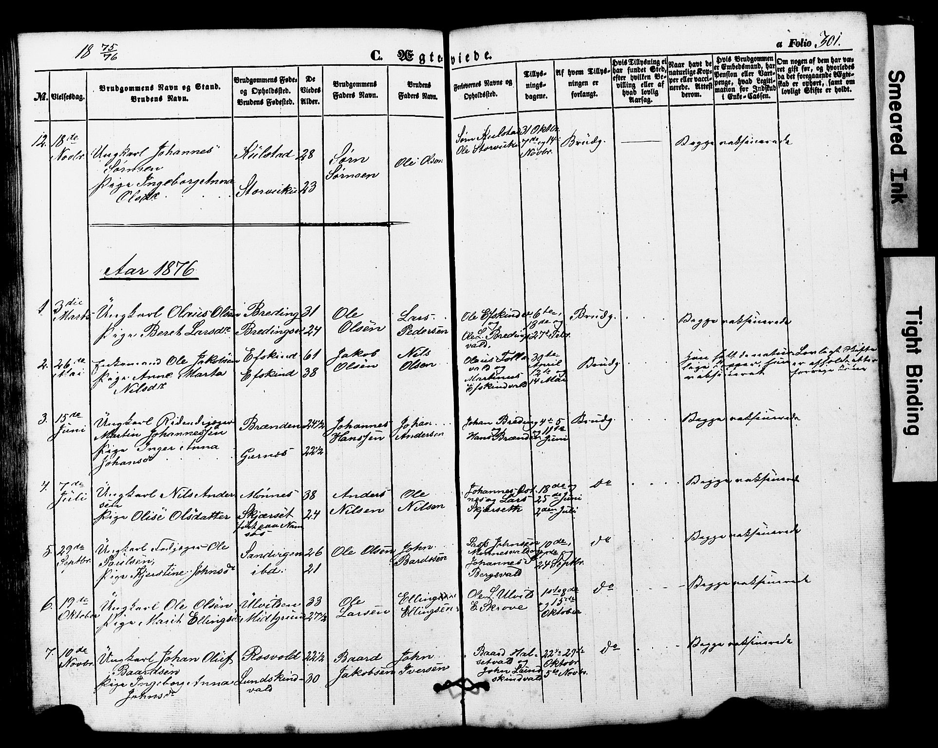 Ministerialprotokoller, klokkerbøker og fødselsregistre - Nord-Trøndelag, SAT/A-1458/724/L0268: Parish register (copy) no. 724C04, 1846-1878, p. 301