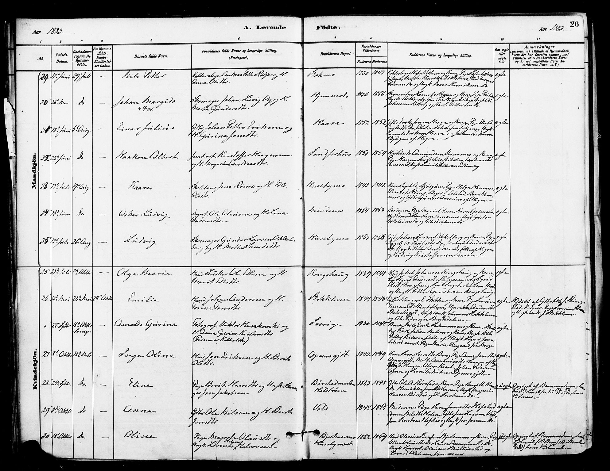 Ministerialprotokoller, klokkerbøker og fødselsregistre - Nord-Trøndelag, SAT/A-1458/709/L0077: Parish register (official) no. 709A17, 1880-1895, p. 26