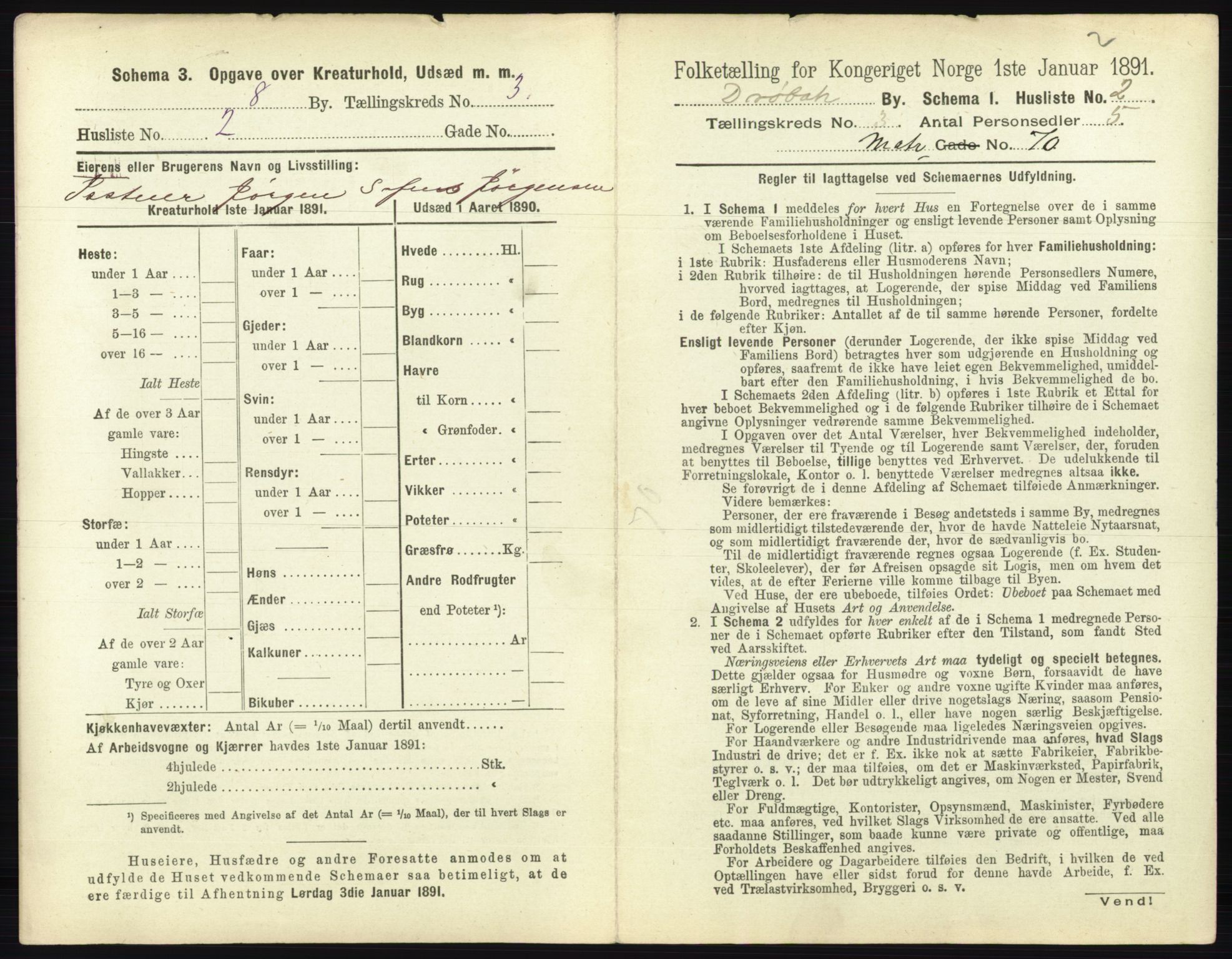 RA, 1891 census for 0203 Drøbak, 1891, p. 325