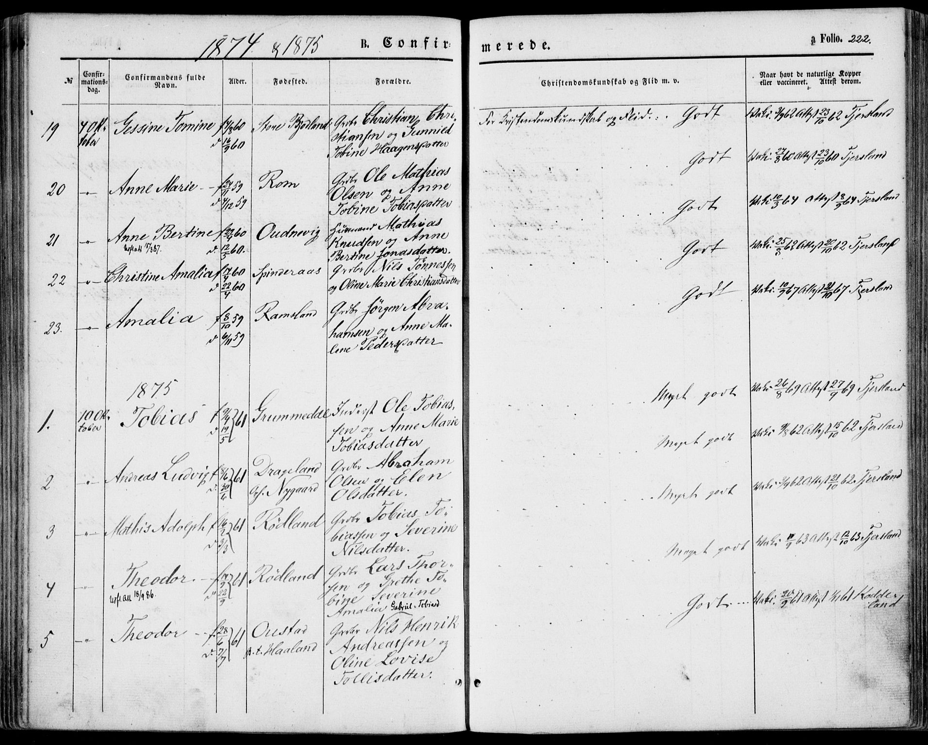 Lyngdal sokneprestkontor, SAK/1111-0029/F/Fa/Fac/L0010: Parish register (official) no. A 10, 1865-1878, p. 222