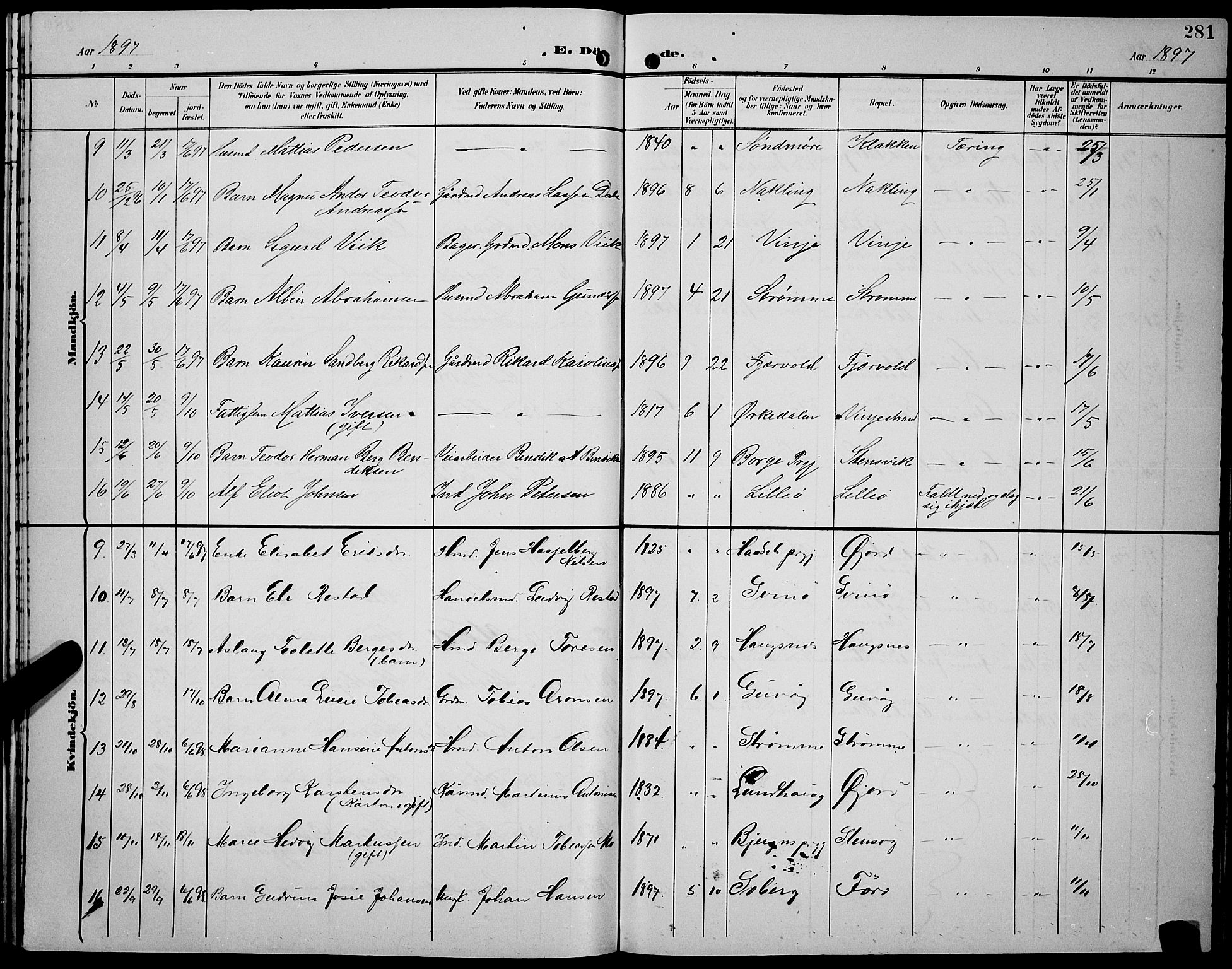 Ministerialprotokoller, klokkerbøker og fødselsregistre - Nordland, AV/SAT-A-1459/891/L1316: Parish register (copy) no. 891C05, 1894-1898, p. 281