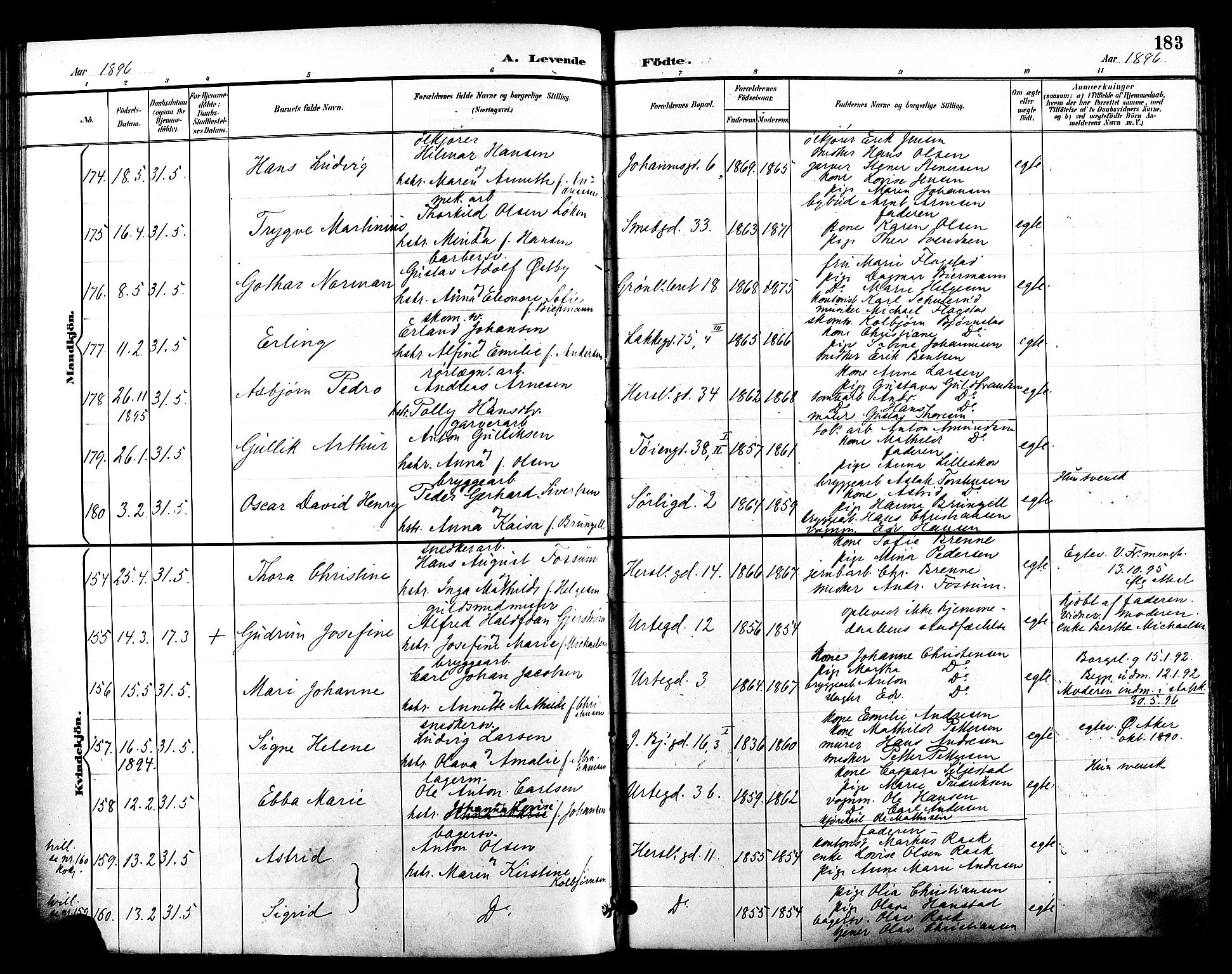 Grønland prestekontor Kirkebøker, SAO/A-10848/F/Fa/L0012: Parish register (official) no. 12, 1893-1900, p. 183