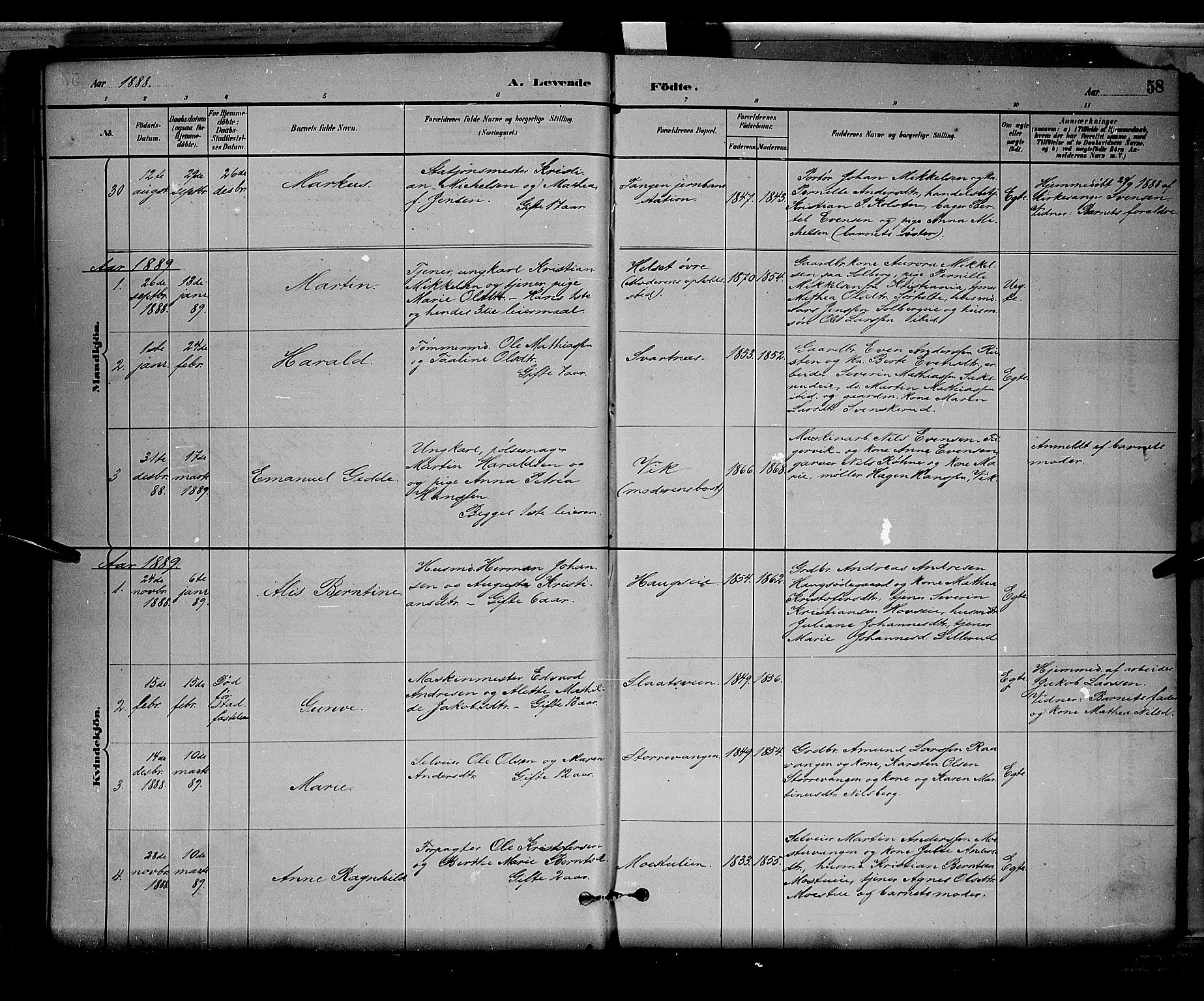 Stange prestekontor, SAH/PREST-002/L/L0008: Parish register (copy) no. 8, 1882-1895, p. 58