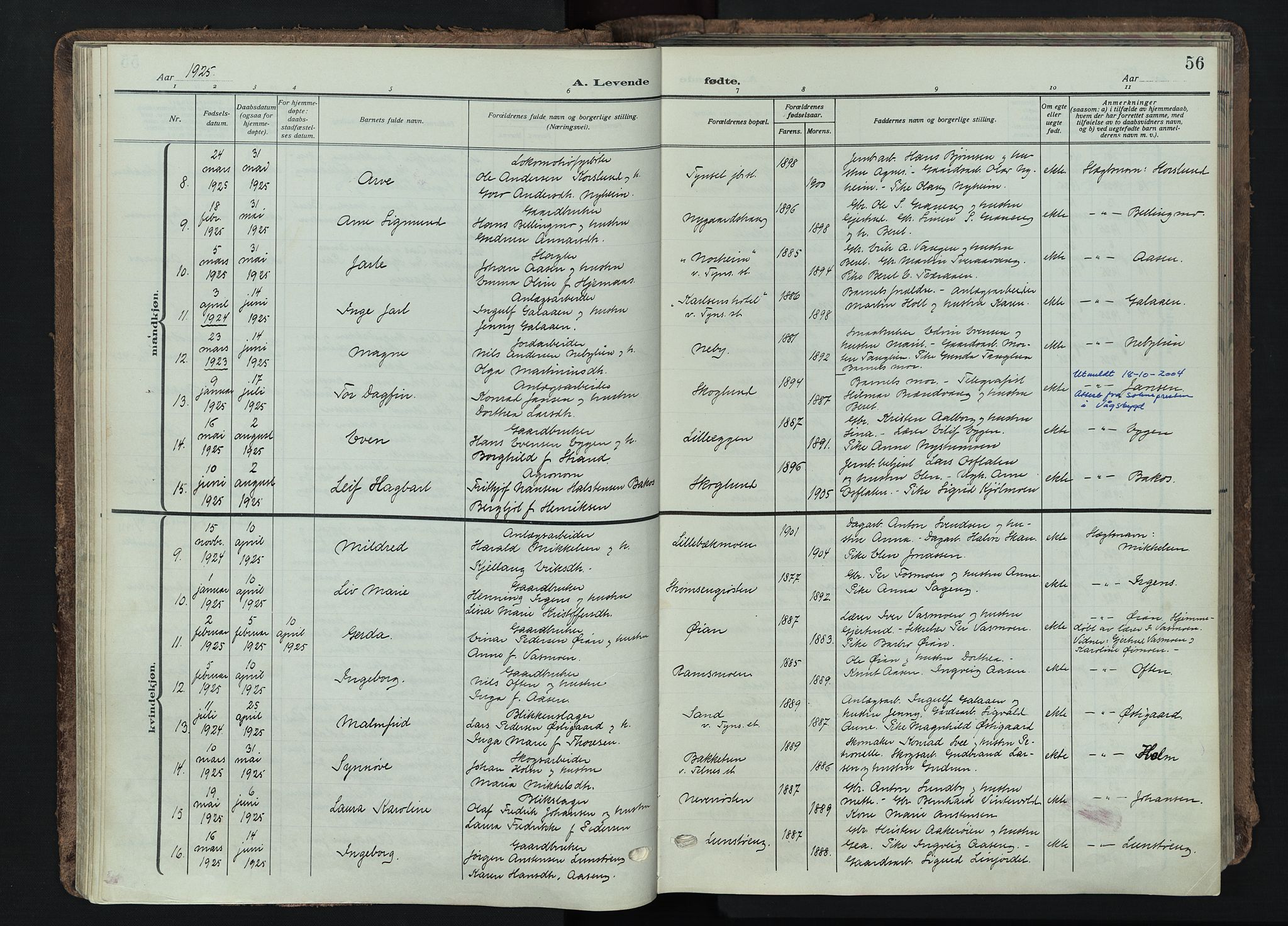 Tynset prestekontor, AV/SAH-PREST-058/H/Ha/Haa/L0026: Parish register (official) no. 26, 1915-1929, p. 56