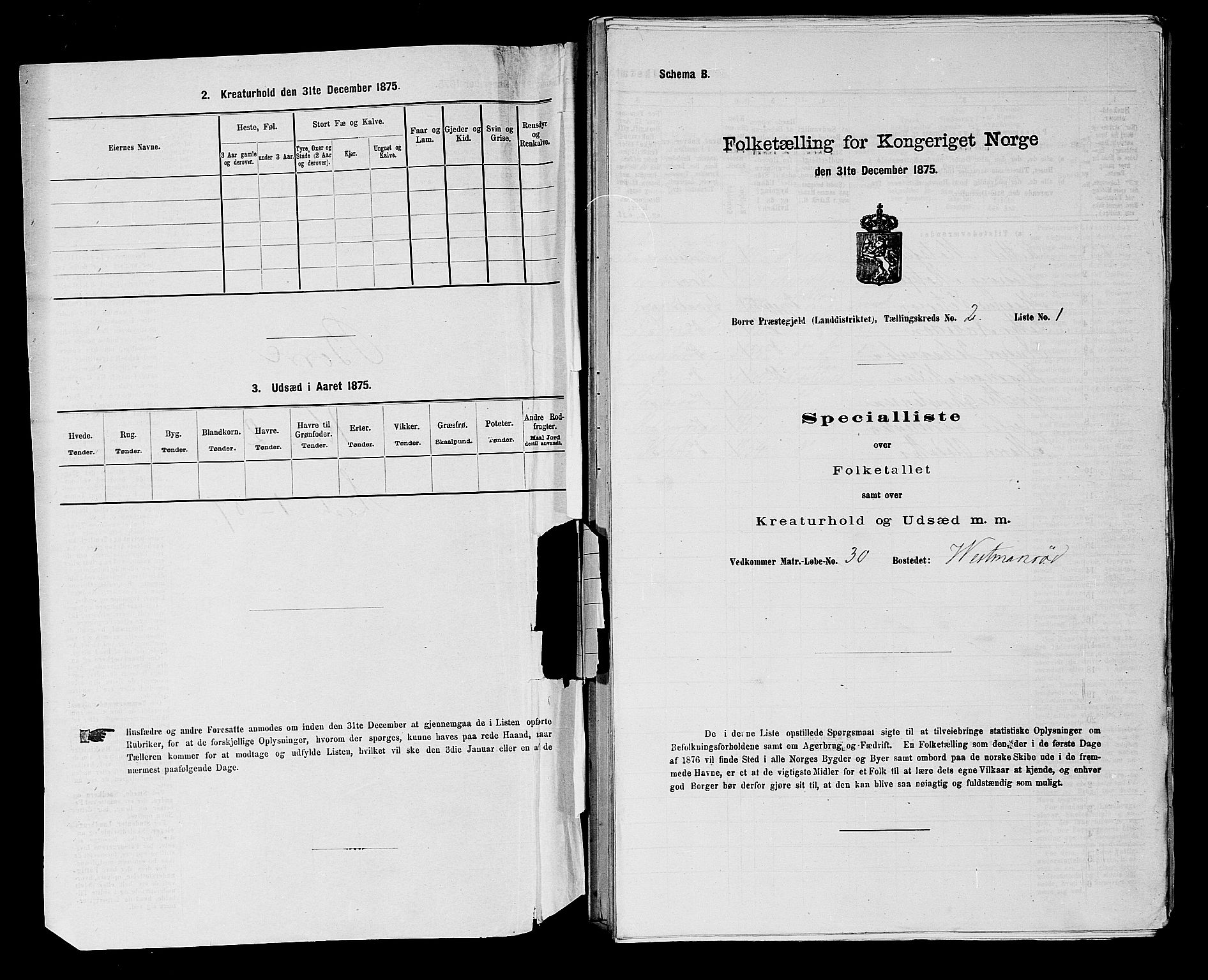 SAKO, 1875 census for 0717L Borre/Borre og Nykirke, 1875, p. 323