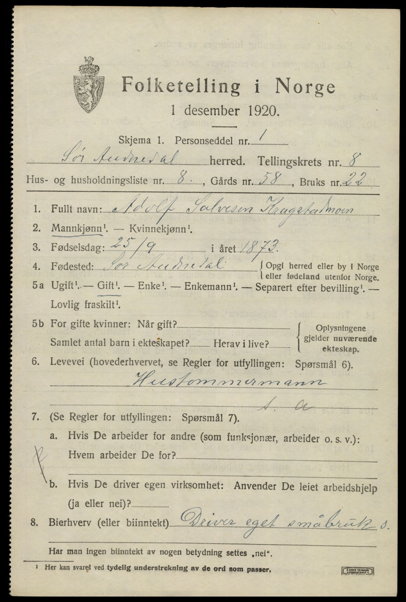 SAK, 1920 census for Sør-Audnedal, 1920, p. 3269