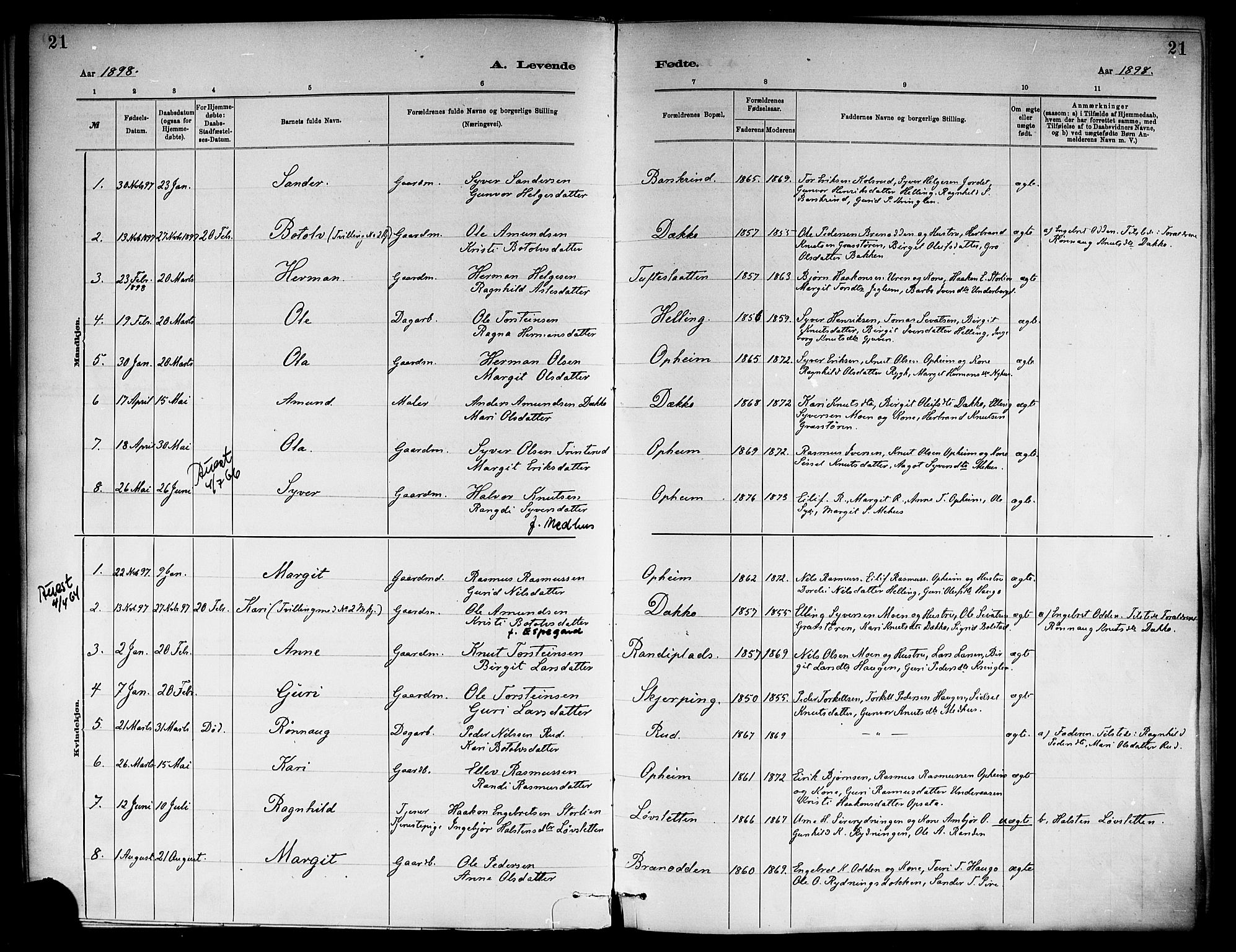 Ål kirkebøker, SAKO/A-249/F/Fb/L0001: Parish register (official) no. II 1, 1882-1899, p. 21
