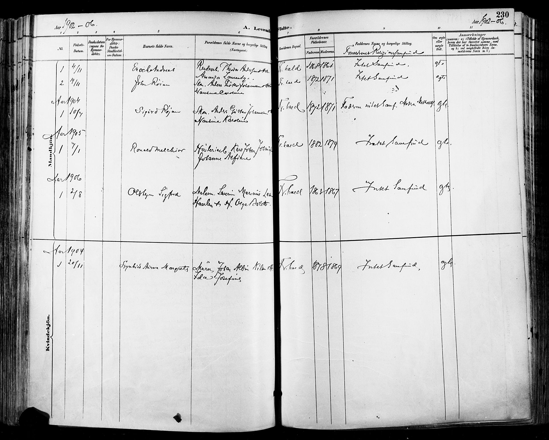 Halden prestekontor Kirkebøker, SAO/A-10909/F/Fa/L0013: Parish register (official) no. I 13, 1890-1906, p. 230