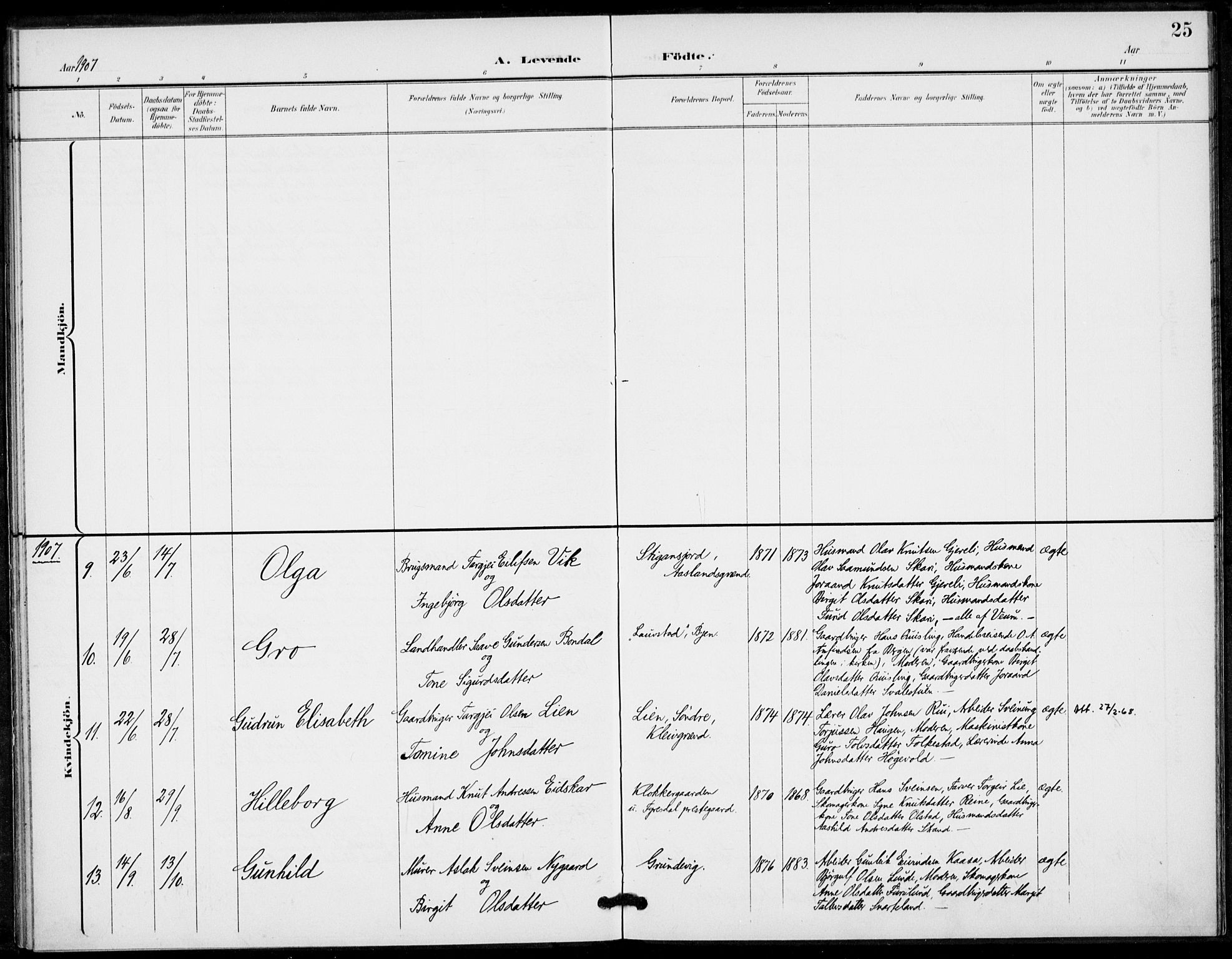 Fyresdal kirkebøker, AV/SAKO-A-263/F/Fa/L0008: Parish register (official) no. I 8, 1899-1914, p. 25