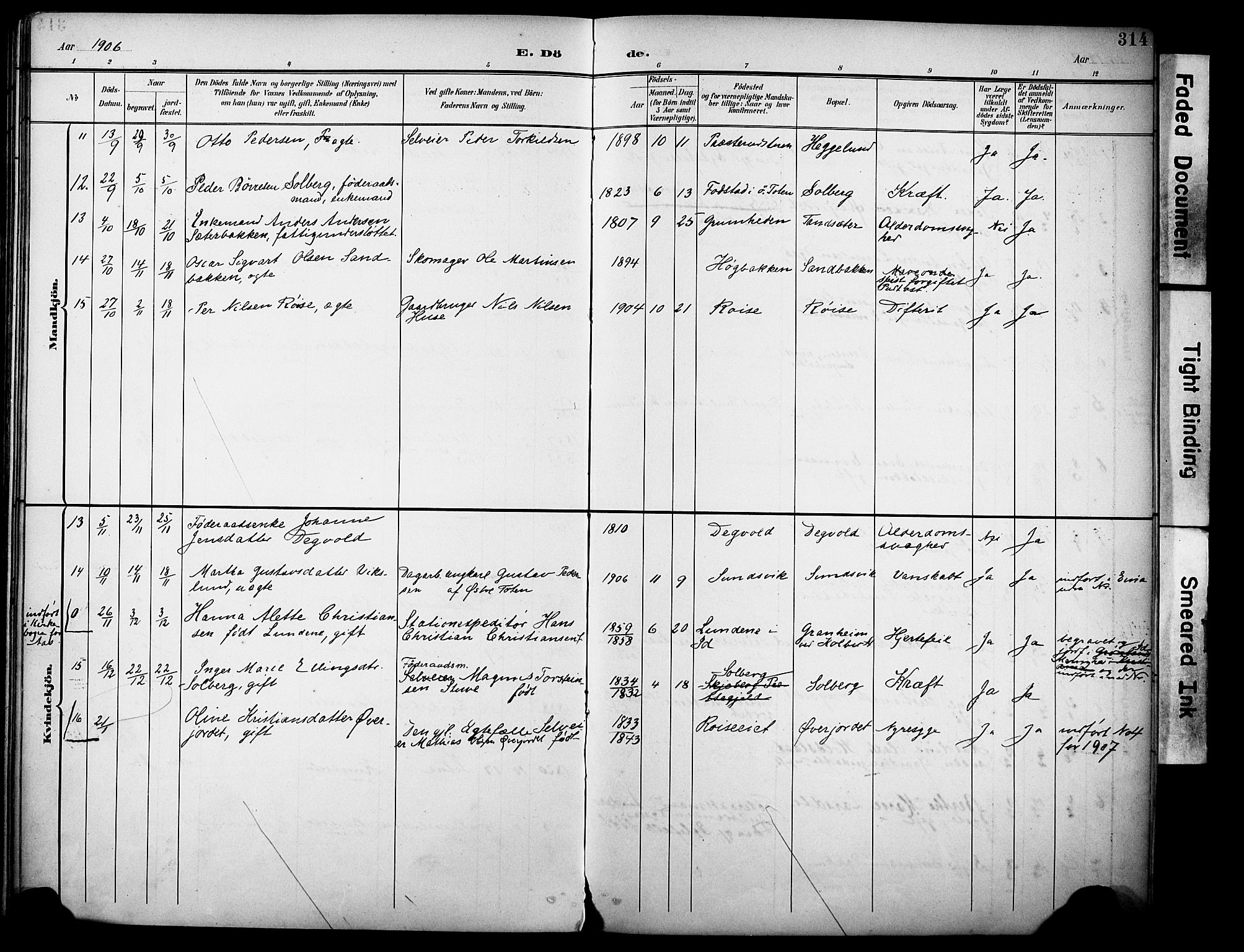 Vestre Toten prestekontor, SAH/PREST-108/H/Ha/Haa/L0013: Parish register (official) no. 13, 1895-1911, p. 314