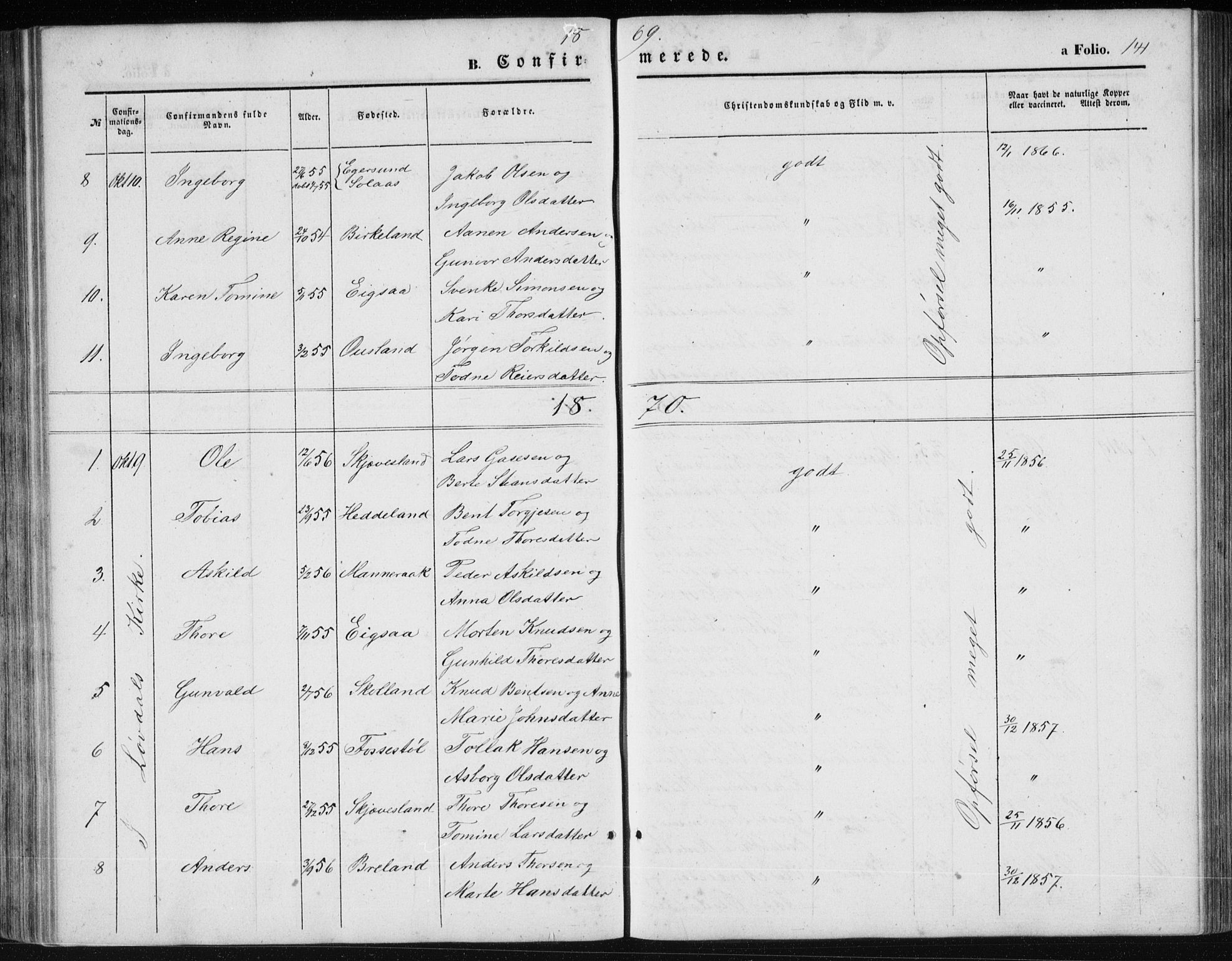 Holum sokneprestkontor, AV/SAK-1111-0022/F/Fb/Fbc/L0002: Parish register (copy) no. B 2, 1860-1882, p. 141