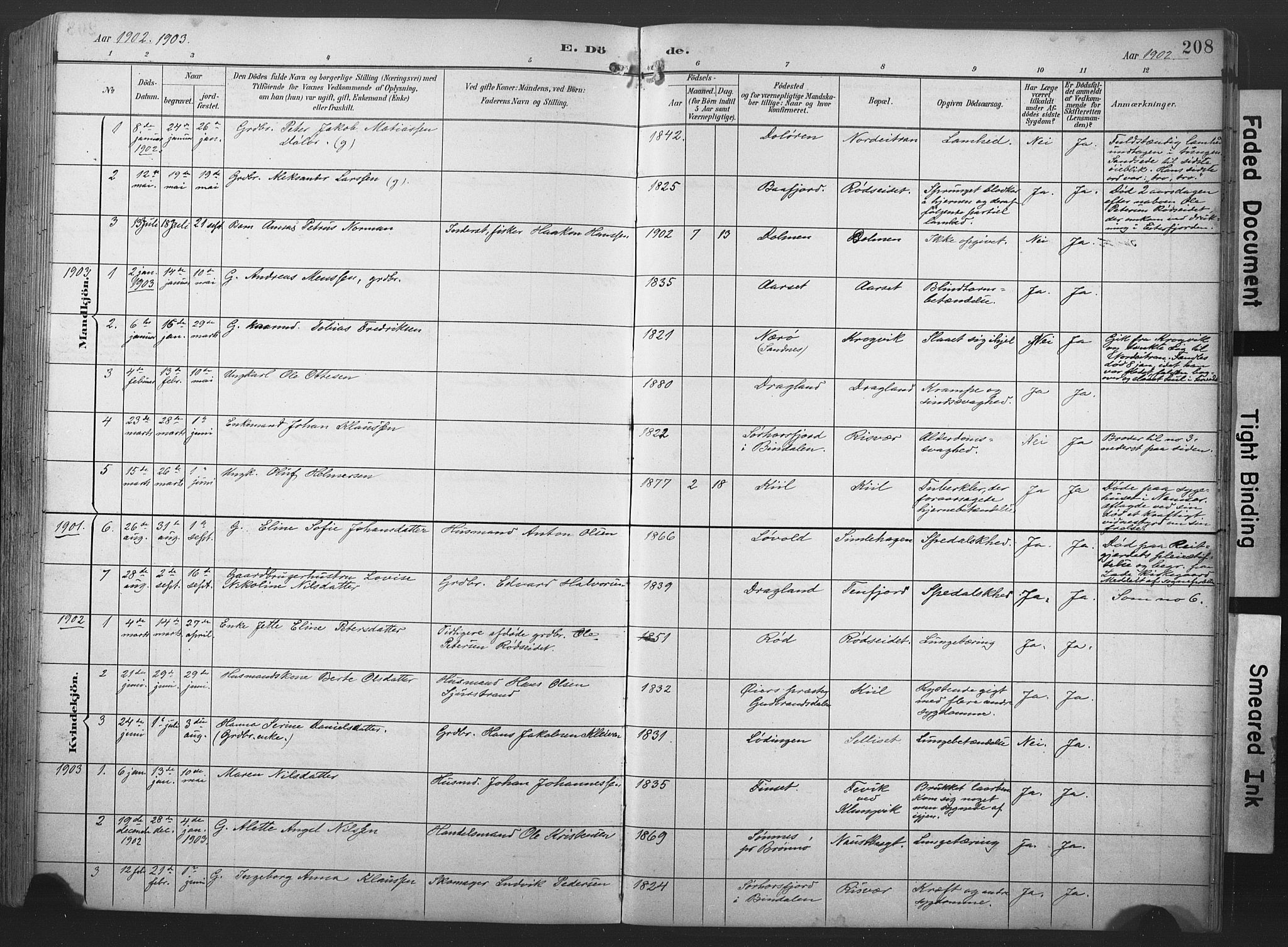 Ministerialprotokoller, klokkerbøker og fødselsregistre - Nord-Trøndelag, AV/SAT-A-1458/789/L0706: Parish register (copy) no. 789C01, 1888-1931, p. 208