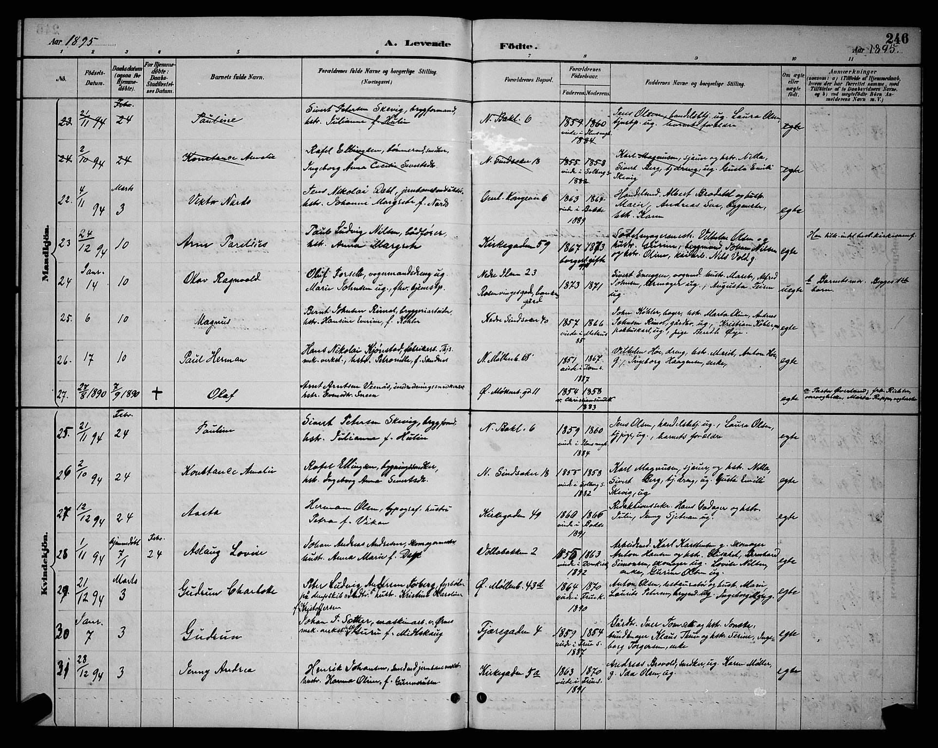 Ministerialprotokoller, klokkerbøker og fødselsregistre - Sør-Trøndelag, AV/SAT-A-1456/604/L0222: Parish register (copy) no. 604C05, 1886-1895, p. 246