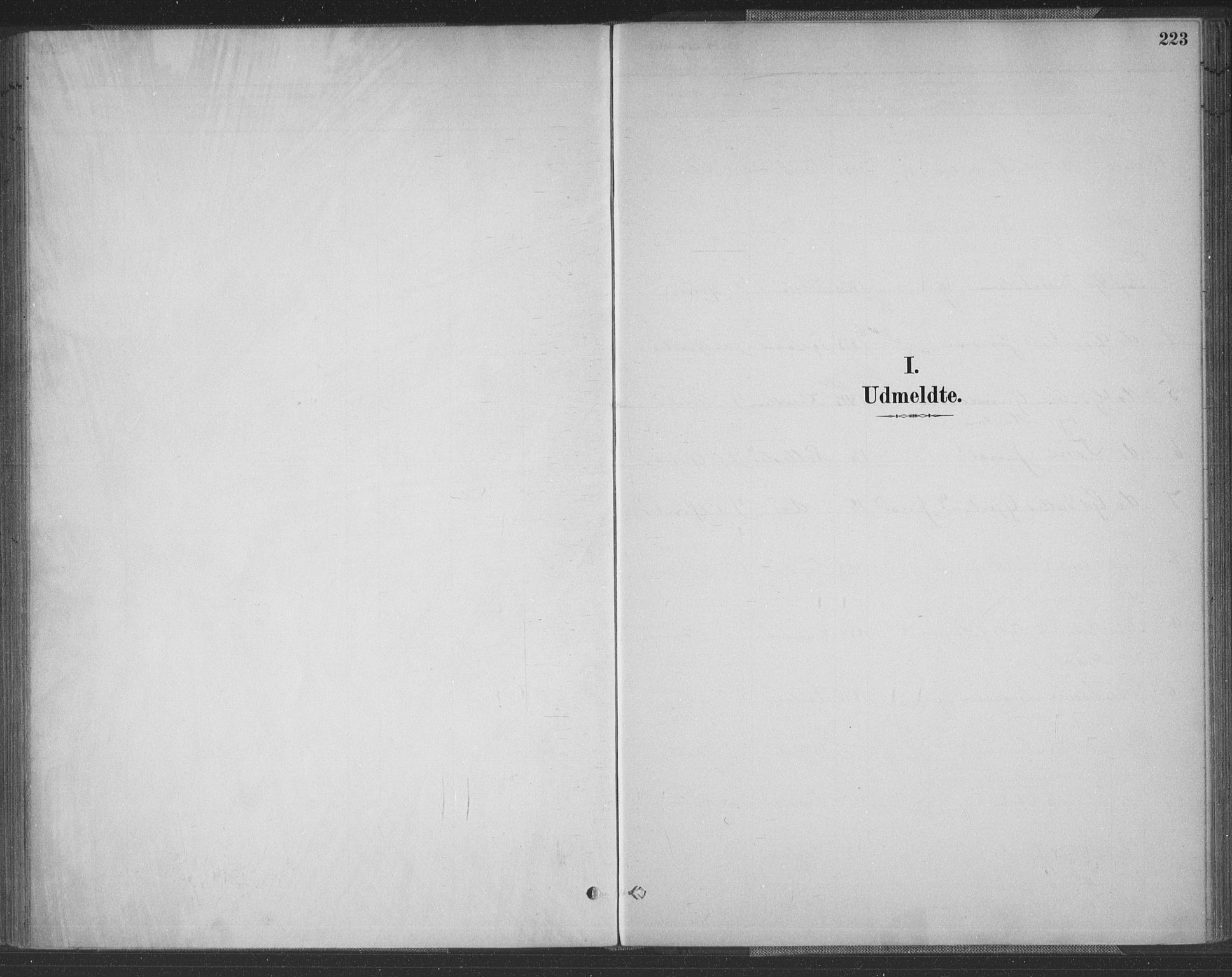 Vennesla sokneprestkontor, SAK/1111-0045/Fa/Fac/L0009: Parish register (official) no. A 9, 1884-1901, p. 223