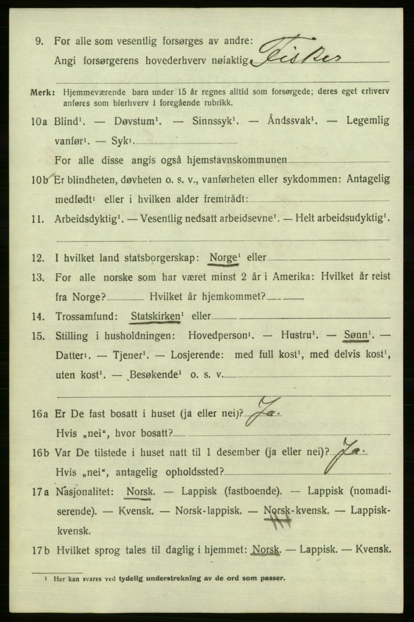 SATØ, 1920 census for Sørøysund rural district, 1920, p. 1095