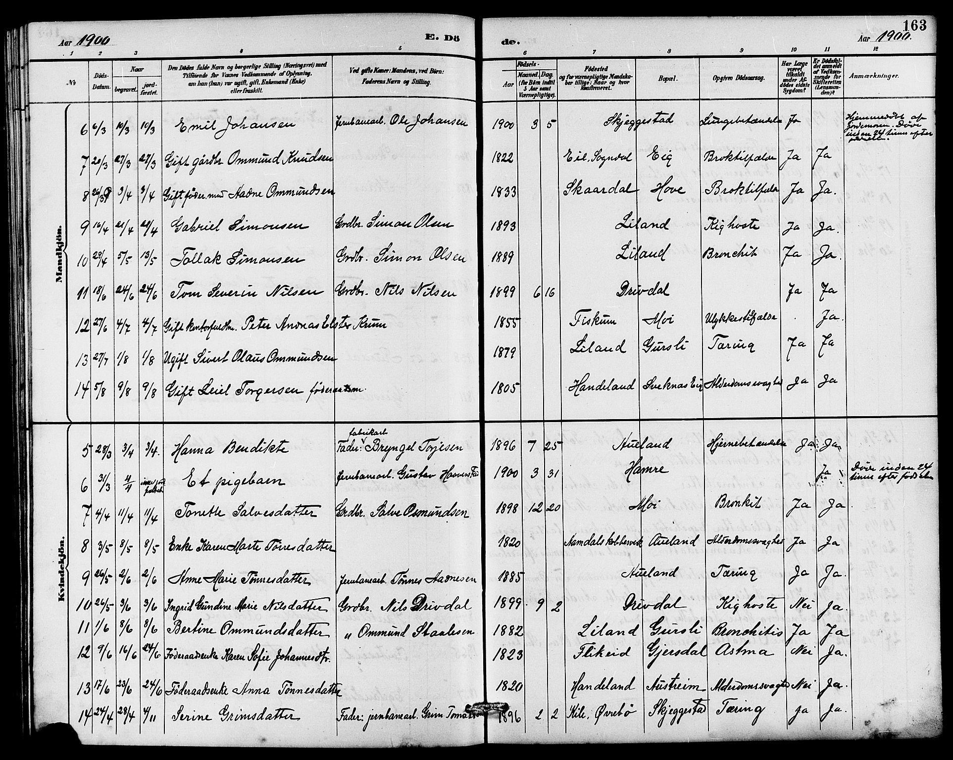 Lund sokneprestkontor, AV/SAST-A-101809/S07/L0006: Parish register (copy) no. B 6, 1885-1901, p. 163