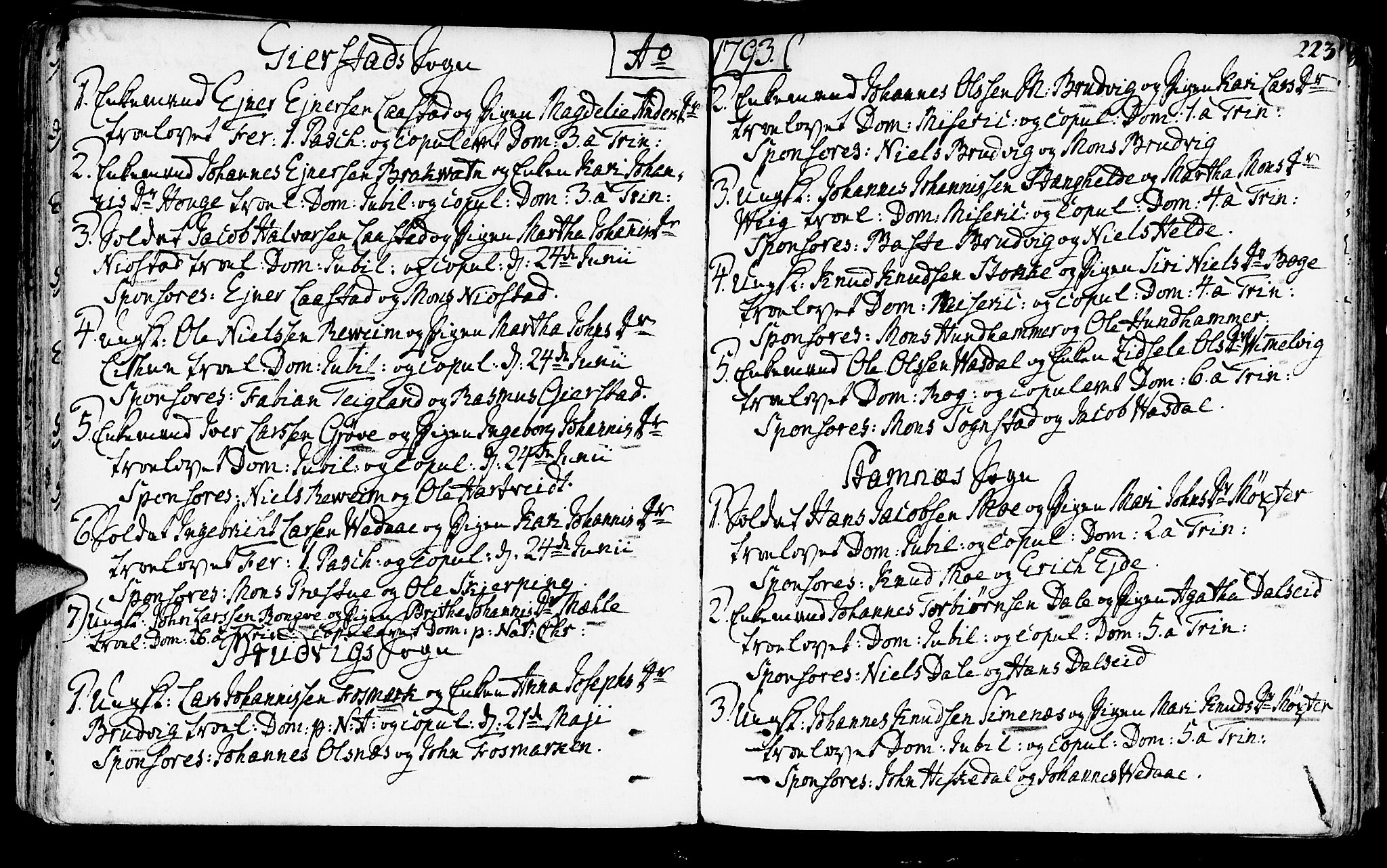 Haus sokneprestembete, SAB/A-75601/H/Haa: Parish register (official) no. A 10, 1782-1796, p. 223