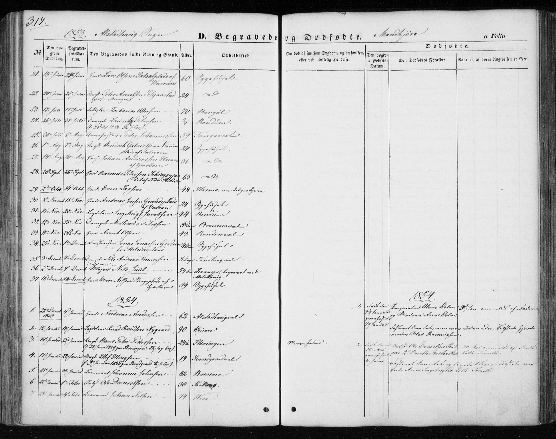 Ministerialprotokoller, klokkerbøker og fødselsregistre - Nord-Trøndelag, SAT/A-1458/717/L0154: Parish register (official) no. 717A07 /1, 1850-1862, p. 317