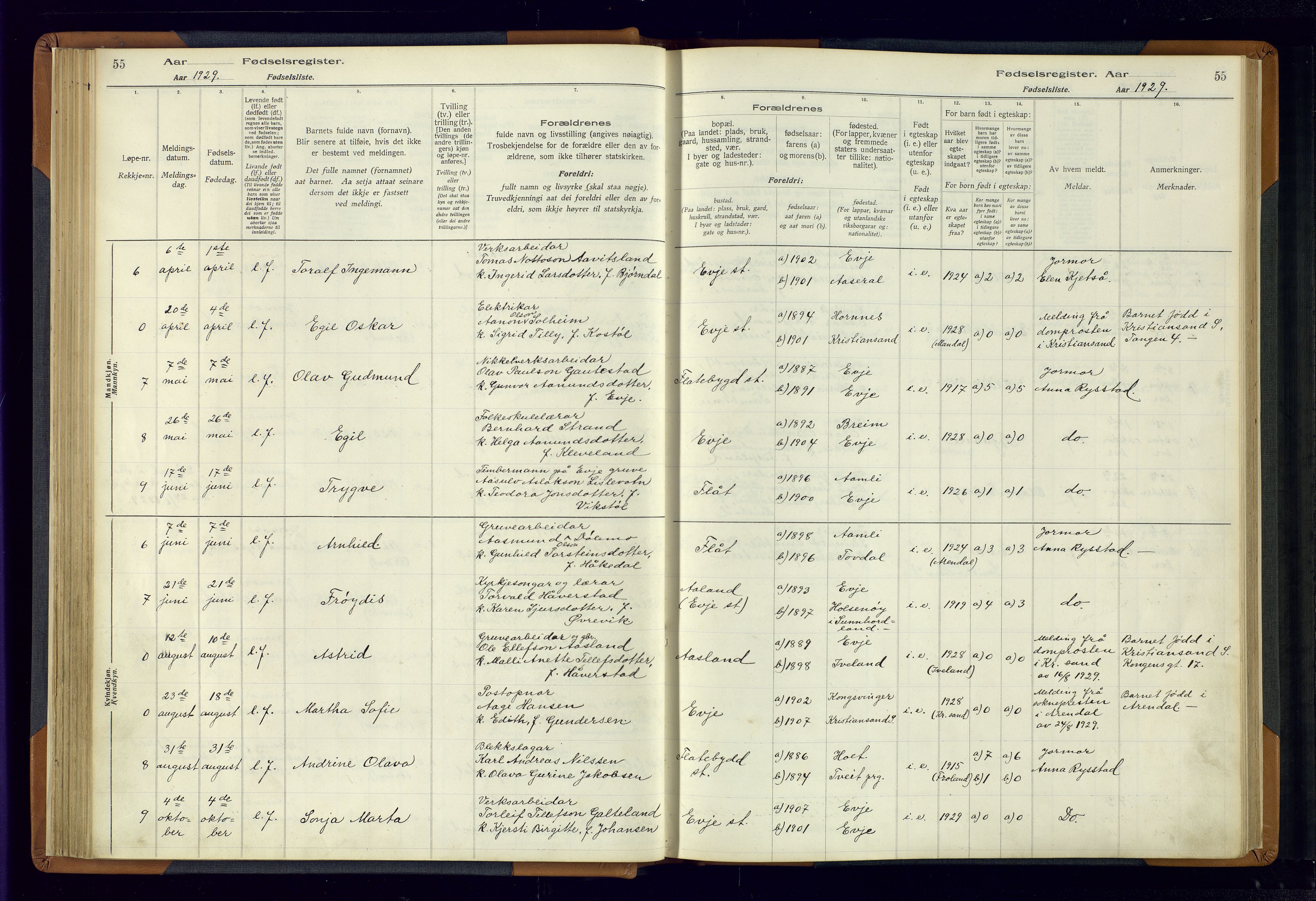 Evje sokneprestkontor, SAK/1111-0008/J/Jc/L0004: Birth register no. 4, 1916-1968, p. 55