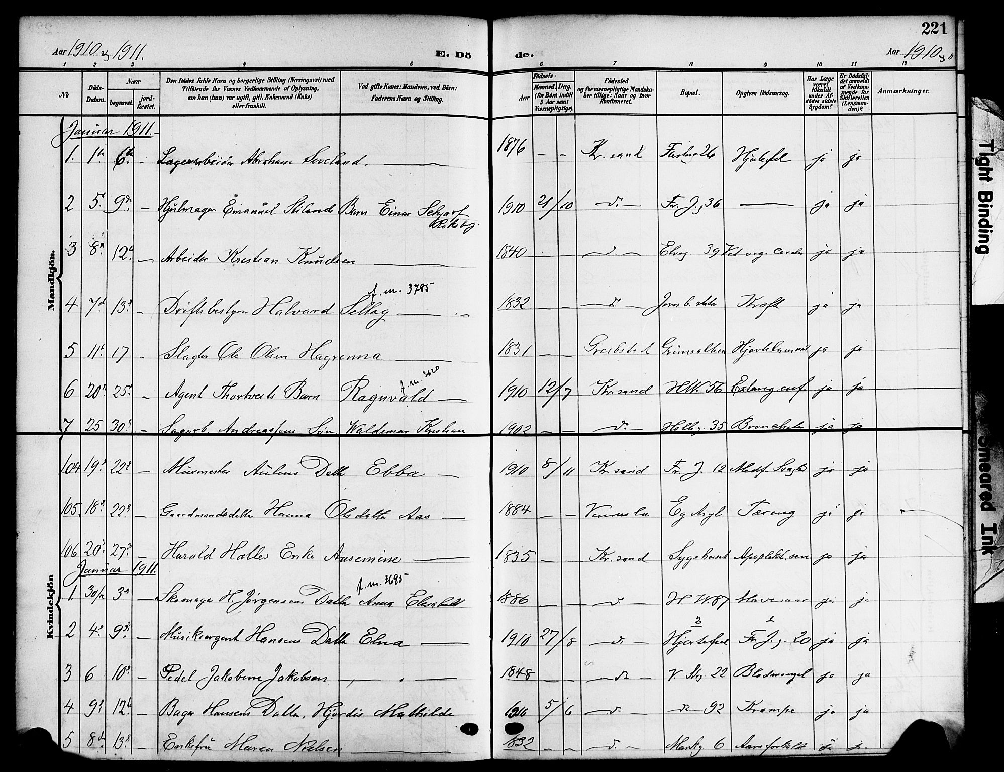 Kristiansand domprosti, SAK/1112-0006/F/Fb/L0020: Parish register (copy) no. B 20, 1906-1915, p. 221