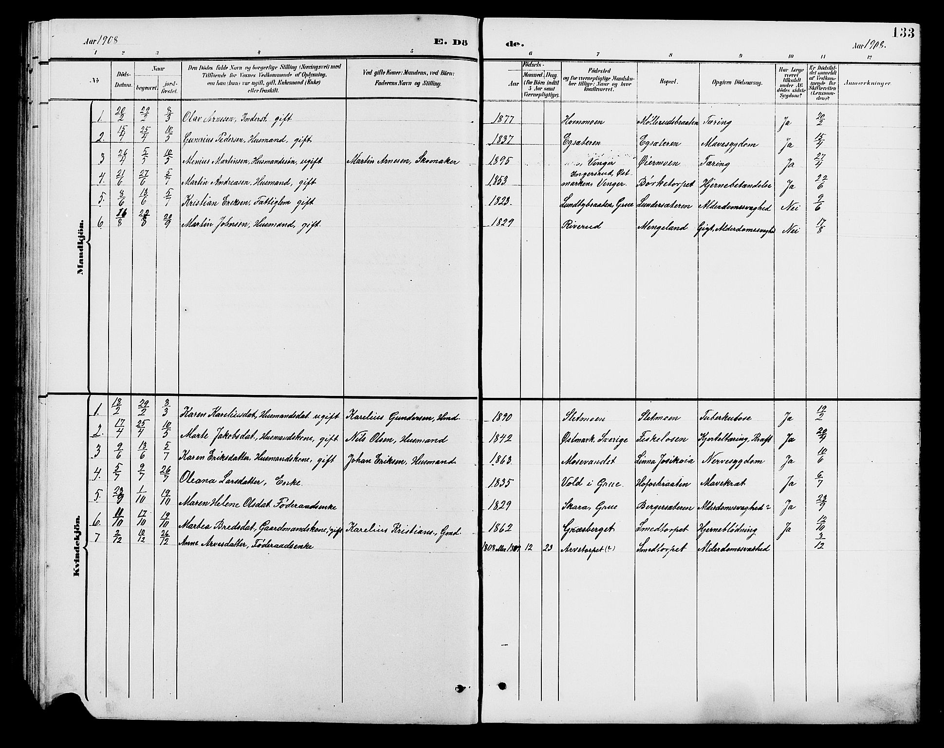 Brandval prestekontor, SAH/PREST-034/H/Ha/Hab/L0001: Parish register (copy) no. 1, 1895-1910, p. 133