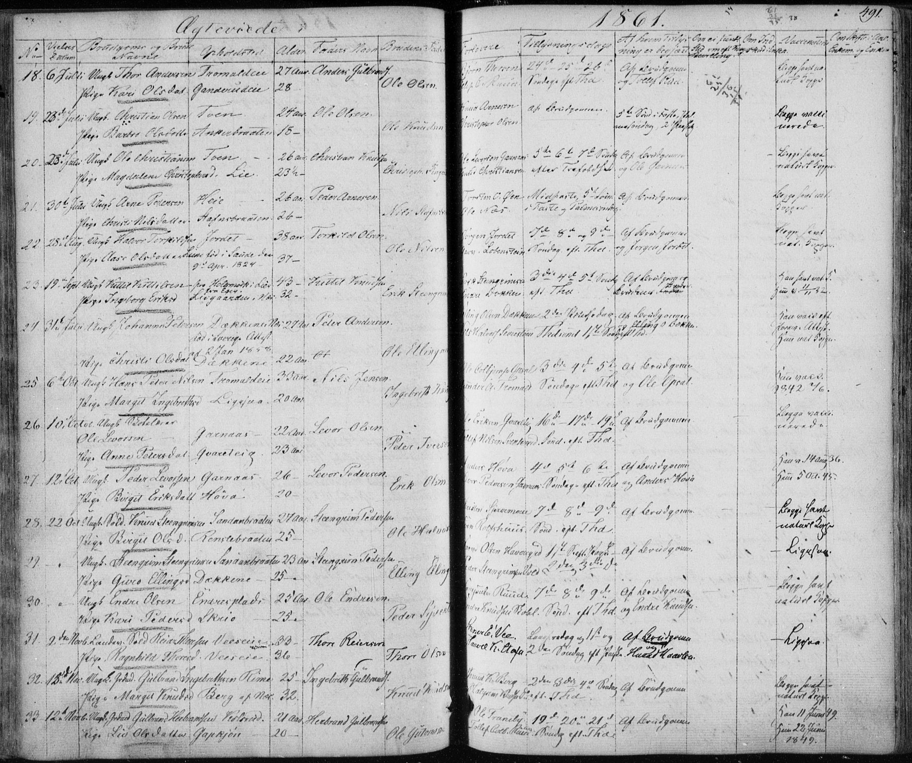 Nes kirkebøker, AV/SAKO-A-236/F/Fa/L0009: Parish register (official) no. 9, 1834-1863, p. 491