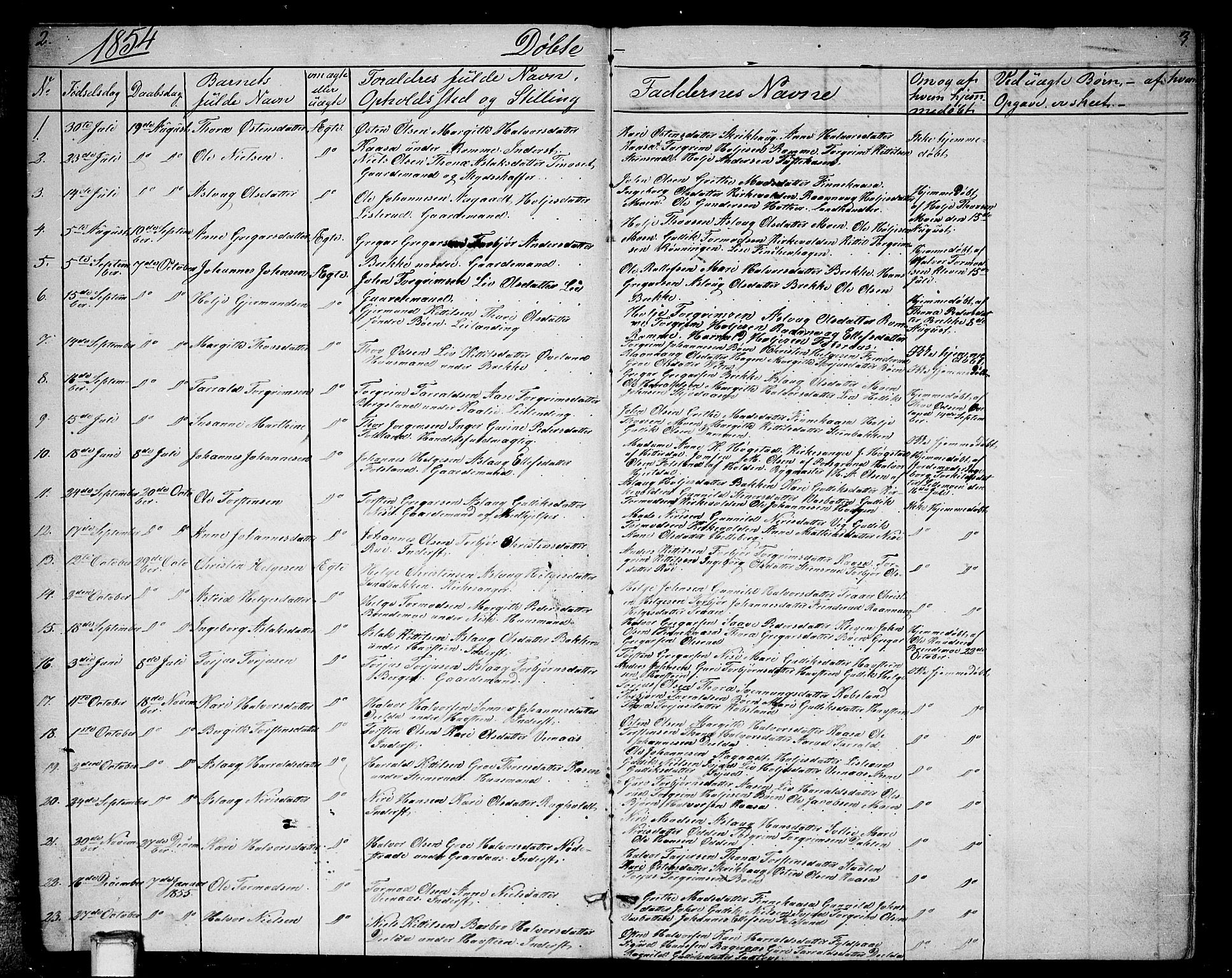Gransherad kirkebøker, SAKO/A-267/G/Ga/L0002: Parish register (copy) no. I 2, 1854-1886, p. 2-3