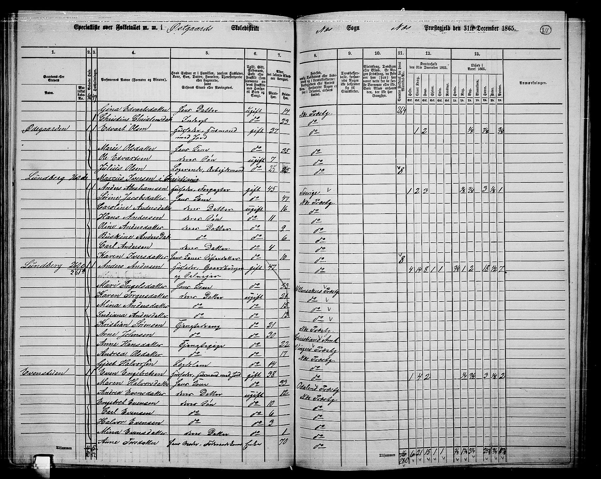 RA, 1865 census for Nes, 1865, p. 286