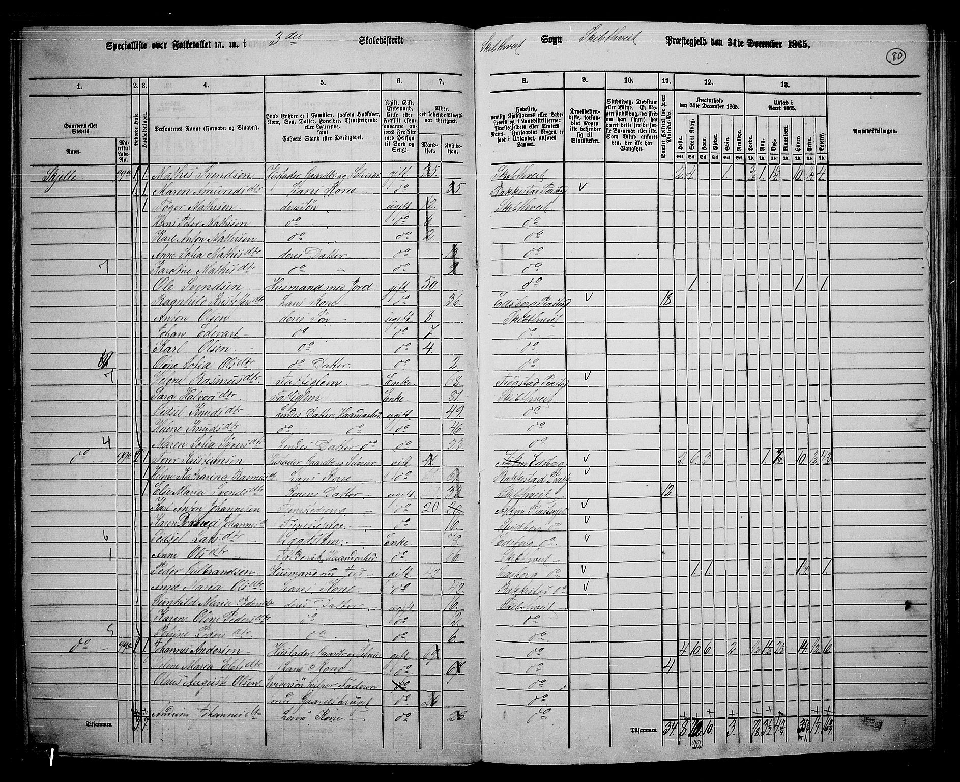 RA, 1865 census for Skiptvet, 1865, p. 71