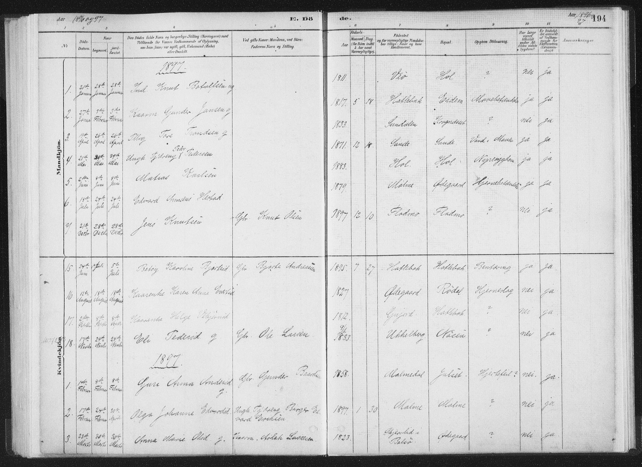 Ministerialprotokoller, klokkerbøker og fødselsregistre - Møre og Romsdal, AV/SAT-A-1454/564/L0740: Parish register (official) no. 564A01, 1880-1899, p. 194