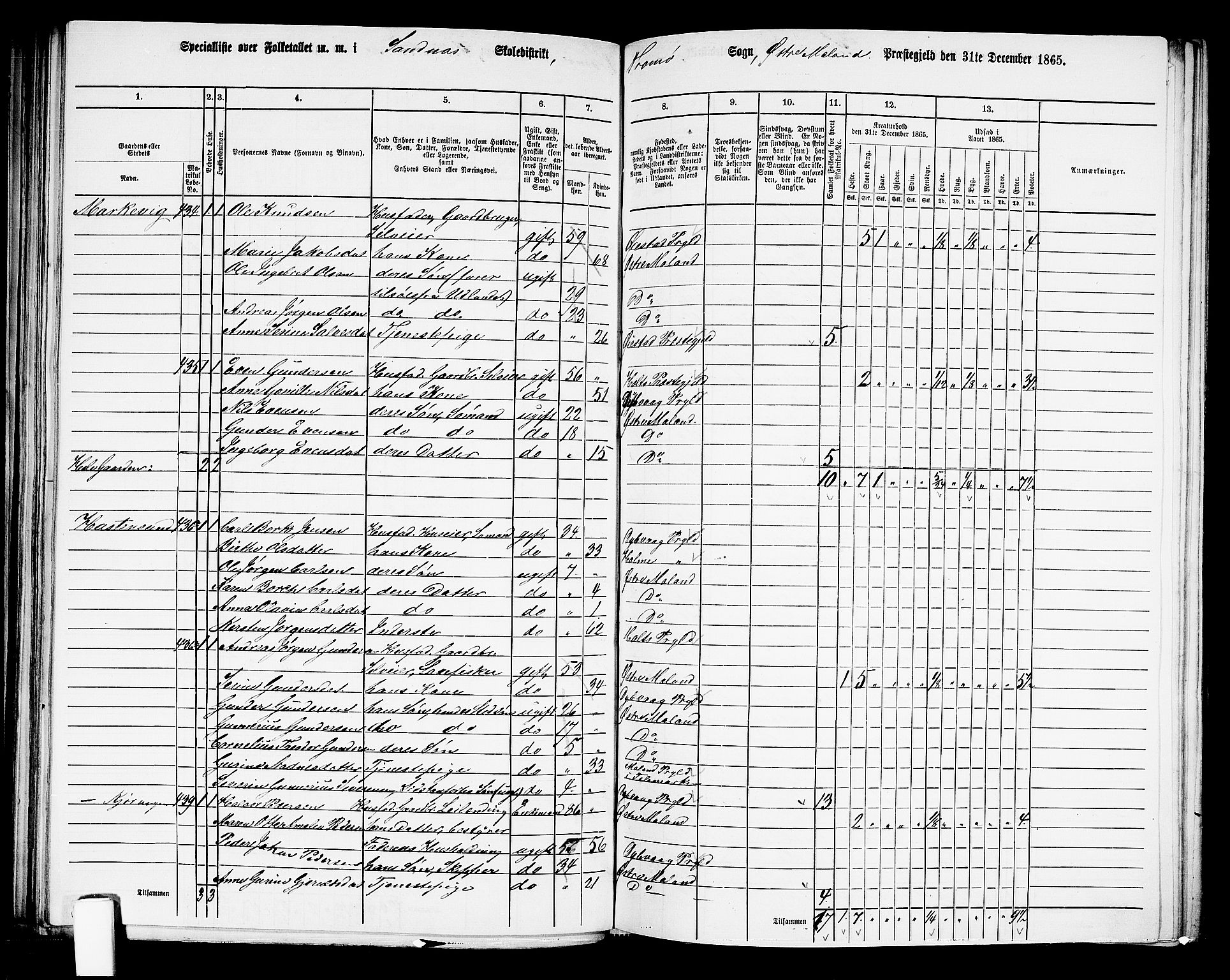 RA, 1865 census for Austre Moland, 1865, p. 199