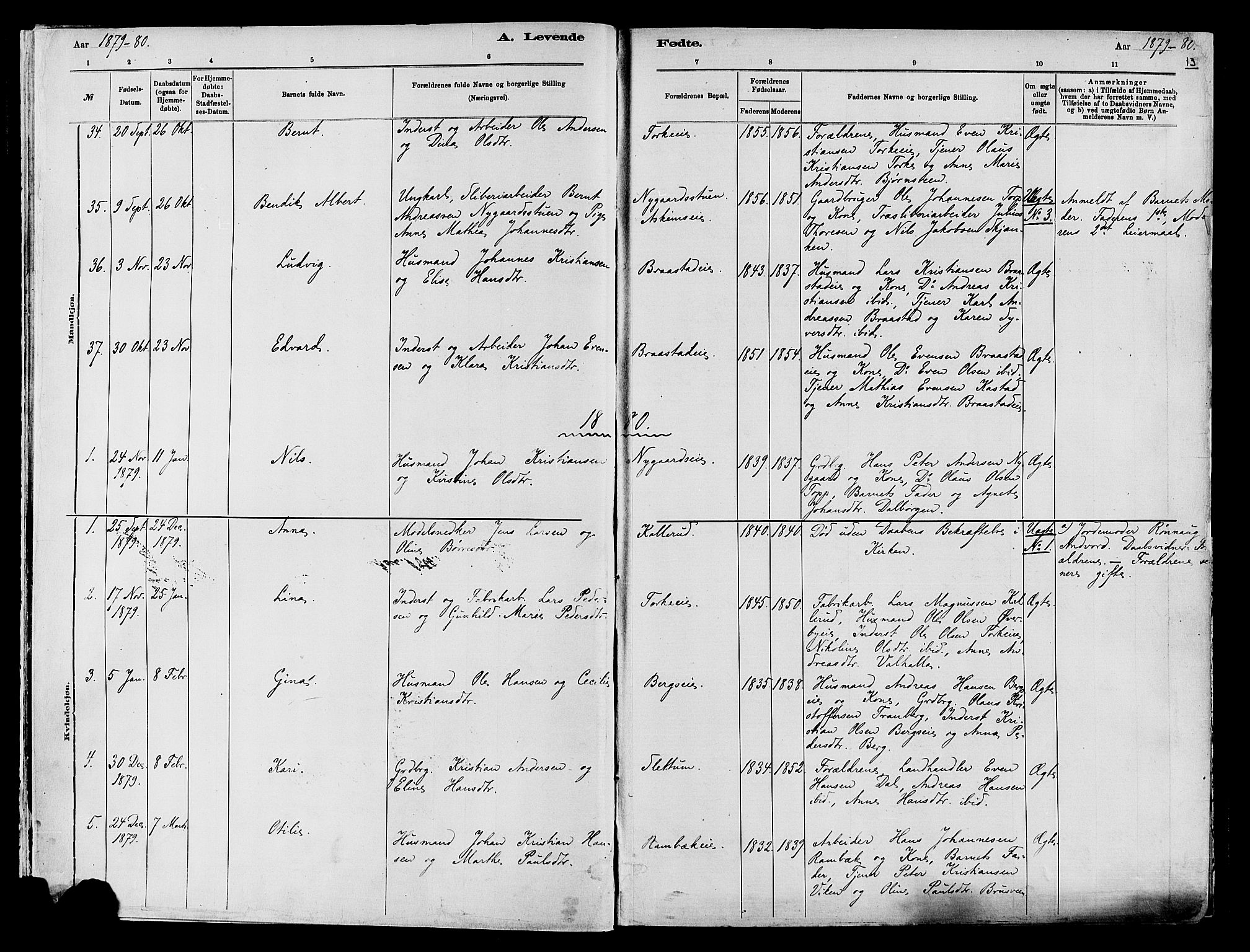 Vardal prestekontor, SAH/PREST-100/H/Ha/Haa/L0009: Parish register (official) no. 9, 1878-1892, p. 13