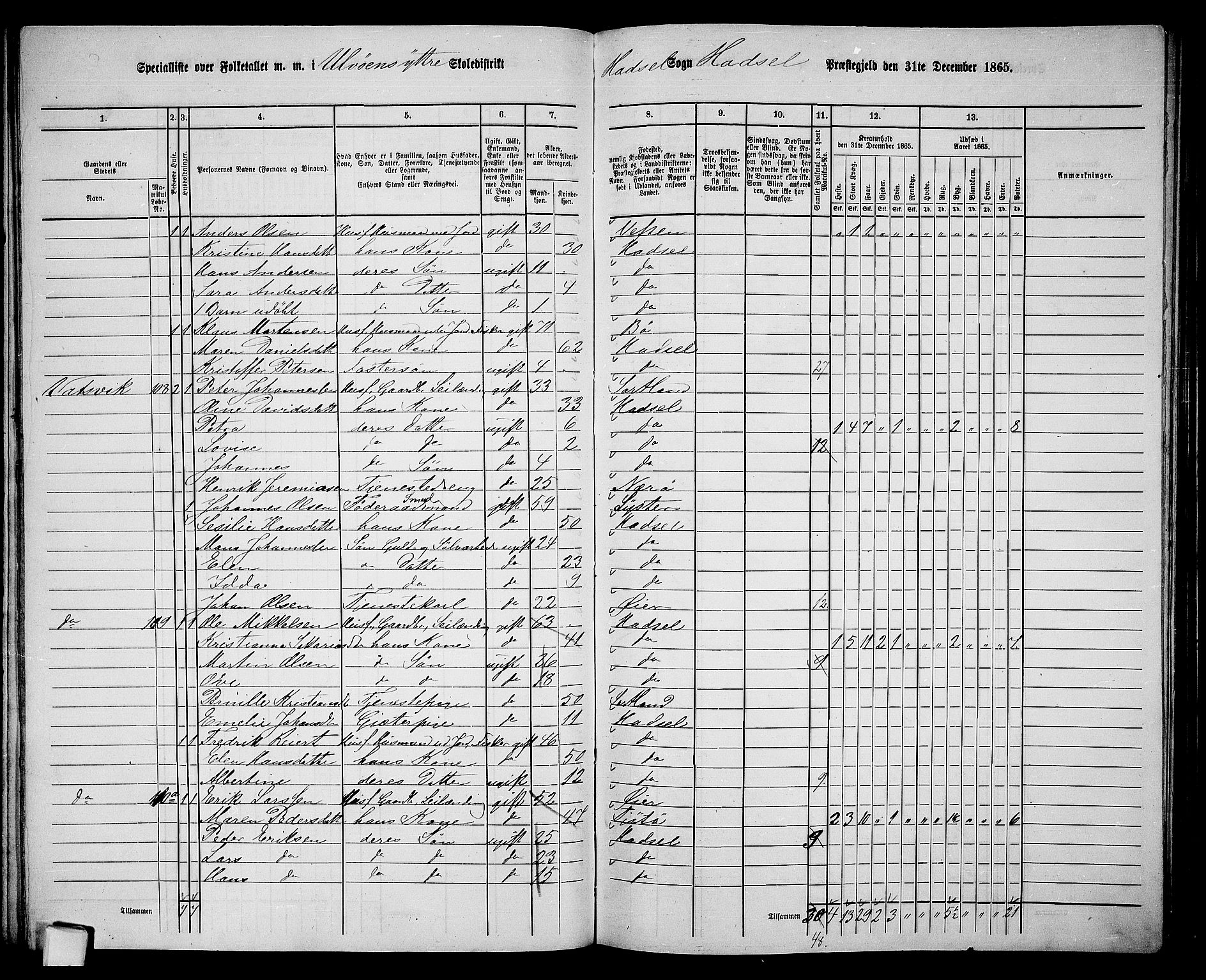 RA, 1865 census for Hadsel, 1865, p. 105