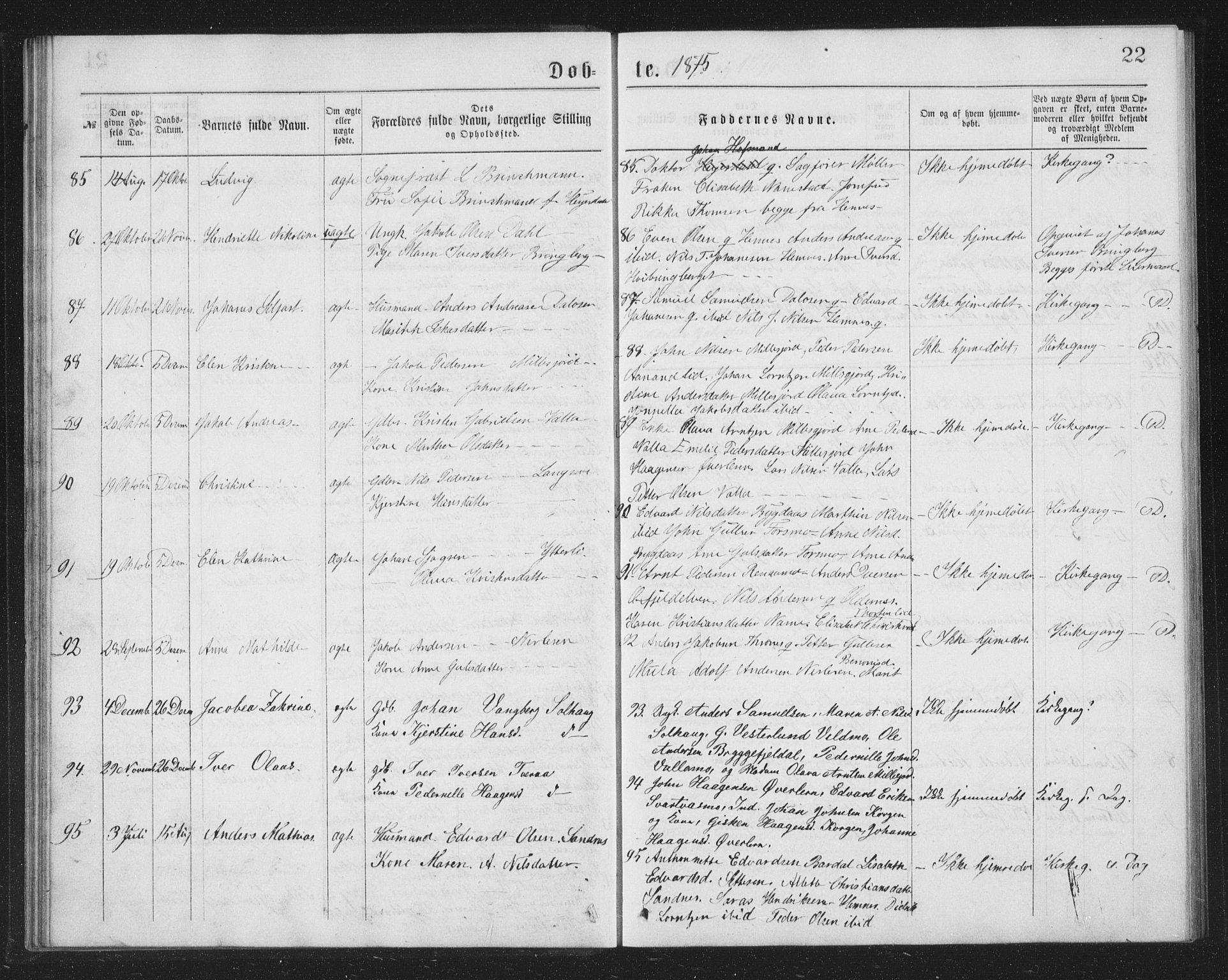 Ministerialprotokoller, klokkerbøker og fødselsregistre - Nordland, AV/SAT-A-1459/825/L0369: Parish register (copy) no. 825C06, 1873-1885, p. 22