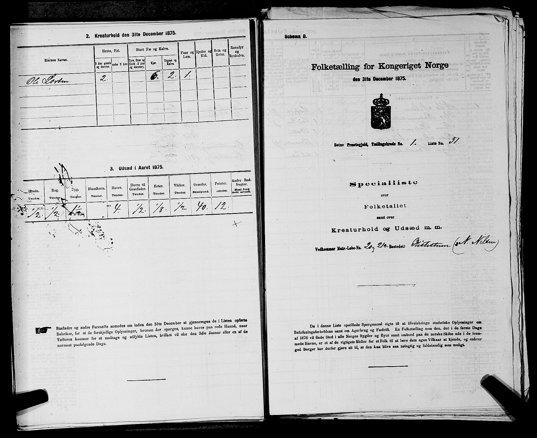 SAKO, 1875 census for 0715P Botne, 1875, p. 153