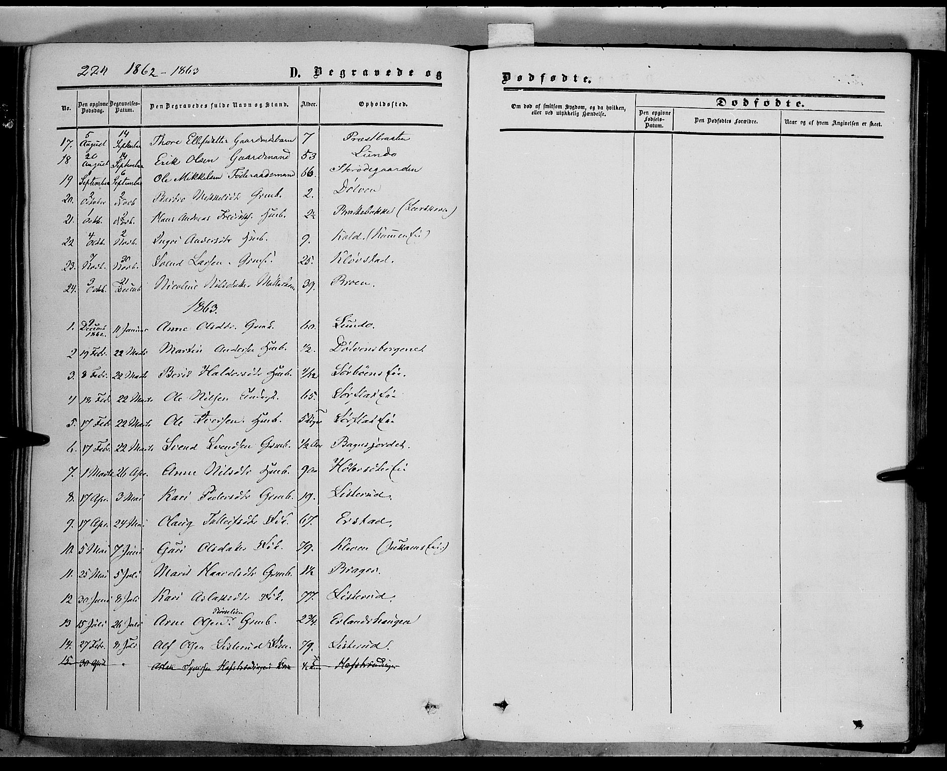 Sør-Aurdal prestekontor, SAH/PREST-128/H/Ha/Haa/L0005: Parish register (official) no. 5, 1849-1876, p. 224