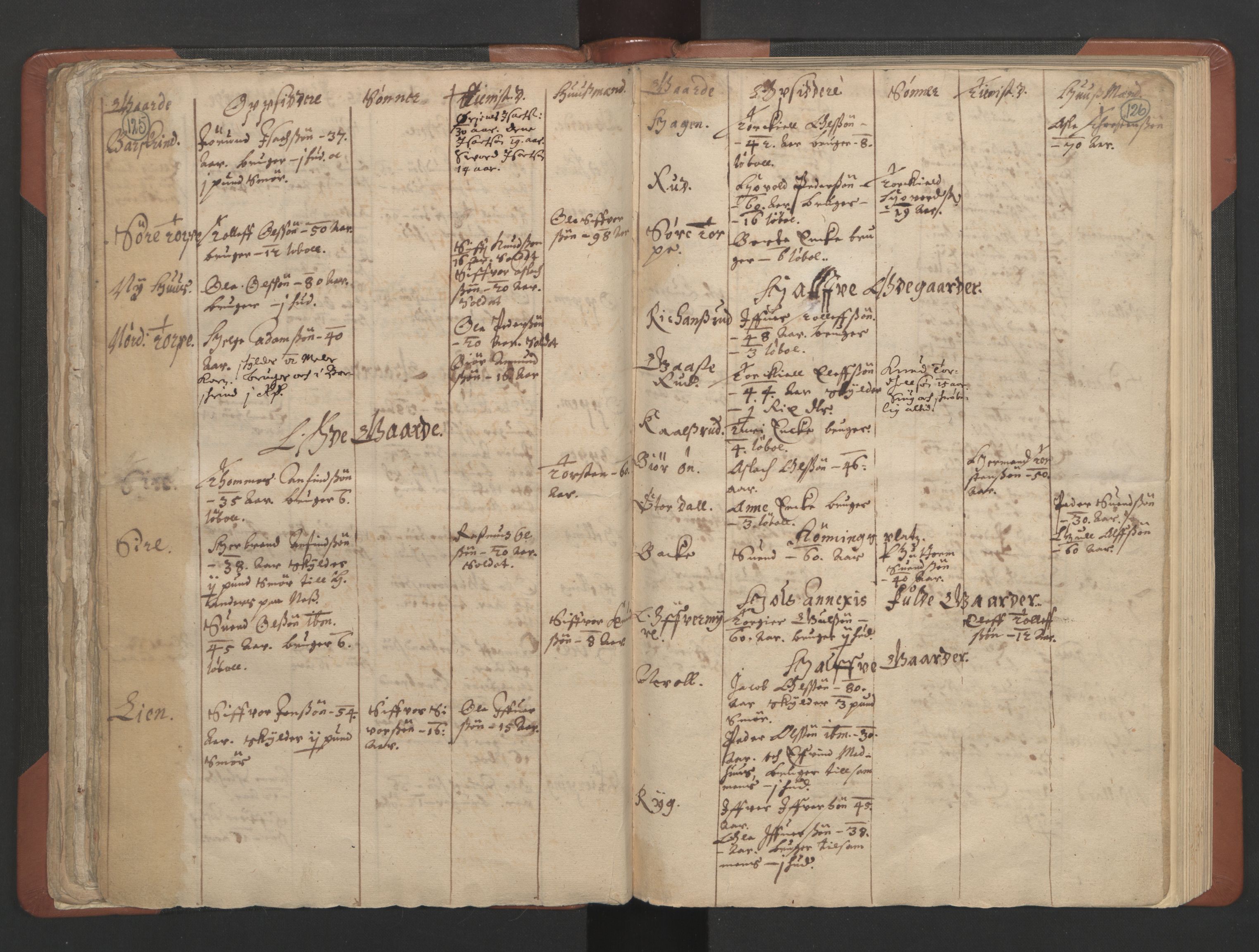 RA, Vicar's Census 1664-1666, no. 8: Valdres deanery, 1664-1666, p. 125-126