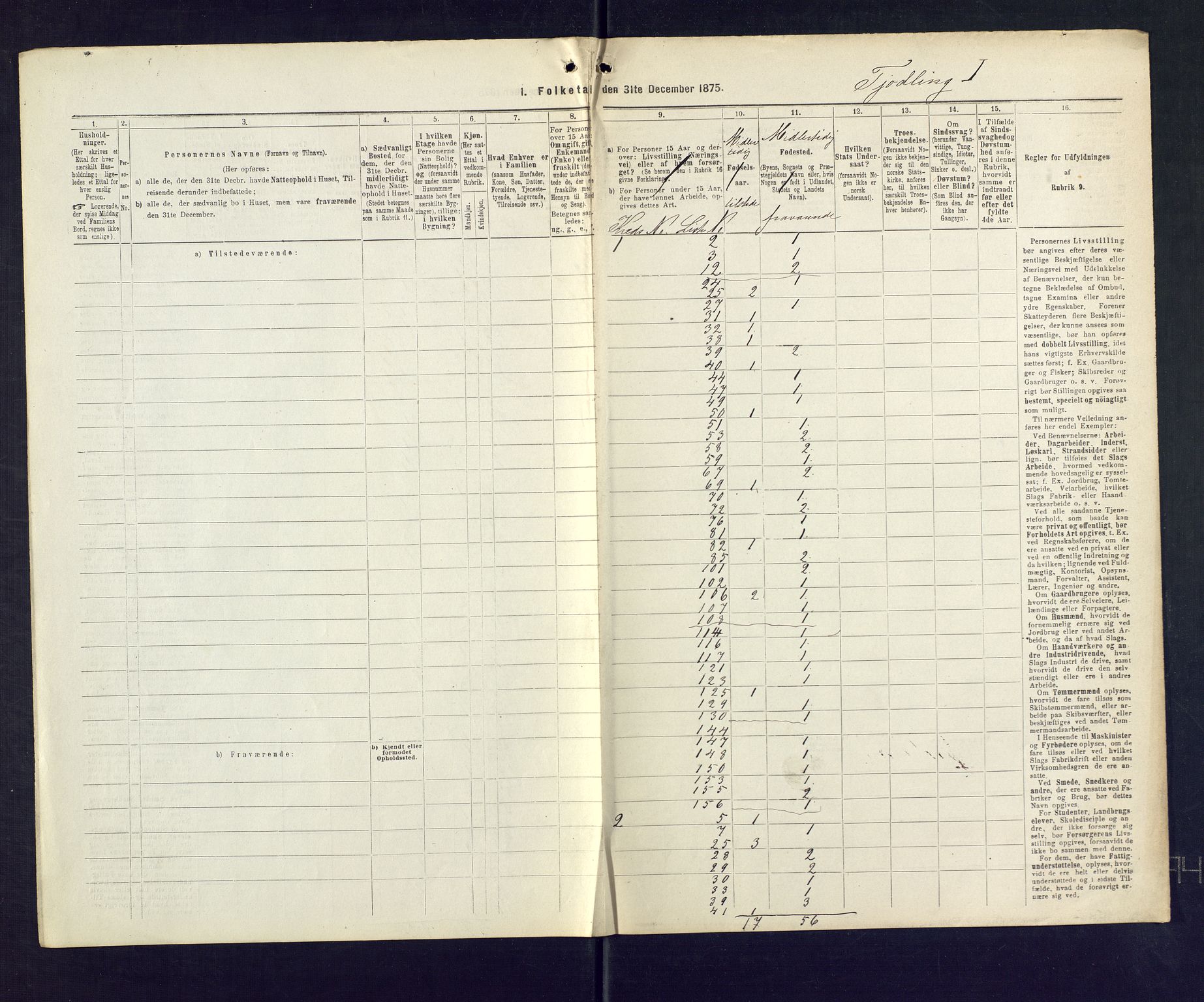 SAKO, 1875 census for 0725P Tjølling, 1875, p. 41