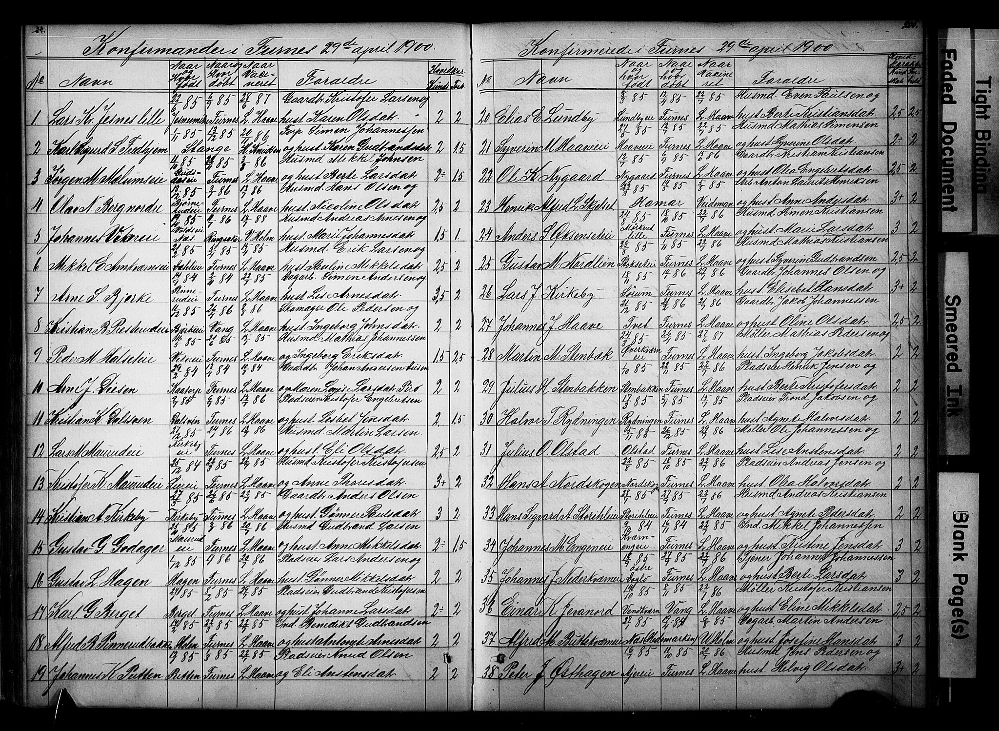 Vang prestekontor, Hedmark, SAH/PREST-008/H/Ha/Hab/L0018: Parish register (copy) no. 18, 1871-1903, p. 205