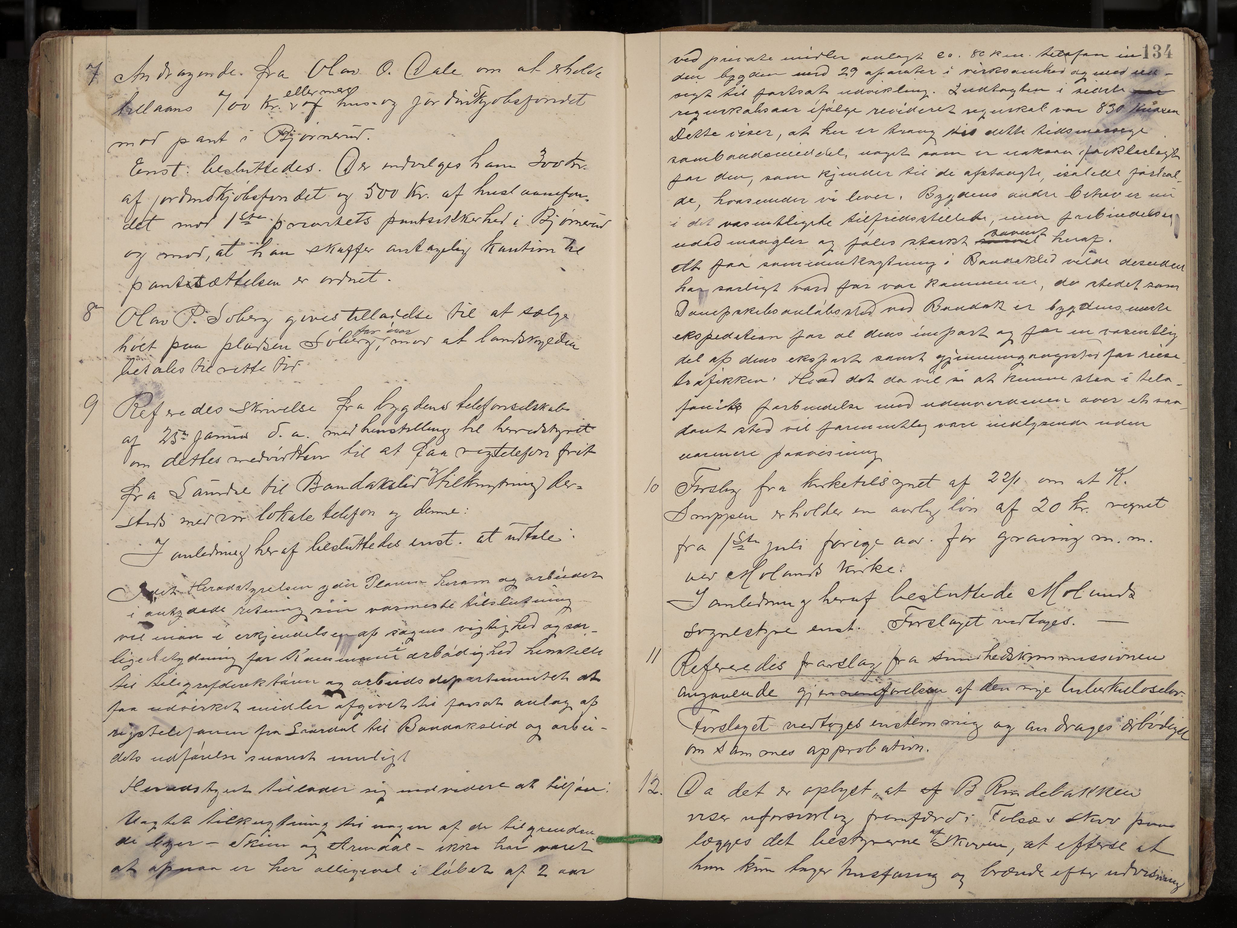 Fyresdal formannskap og sentraladministrasjon, IKAK/0831021-1/Aa/L0003: Møtebok, 1894-1903, p. 134