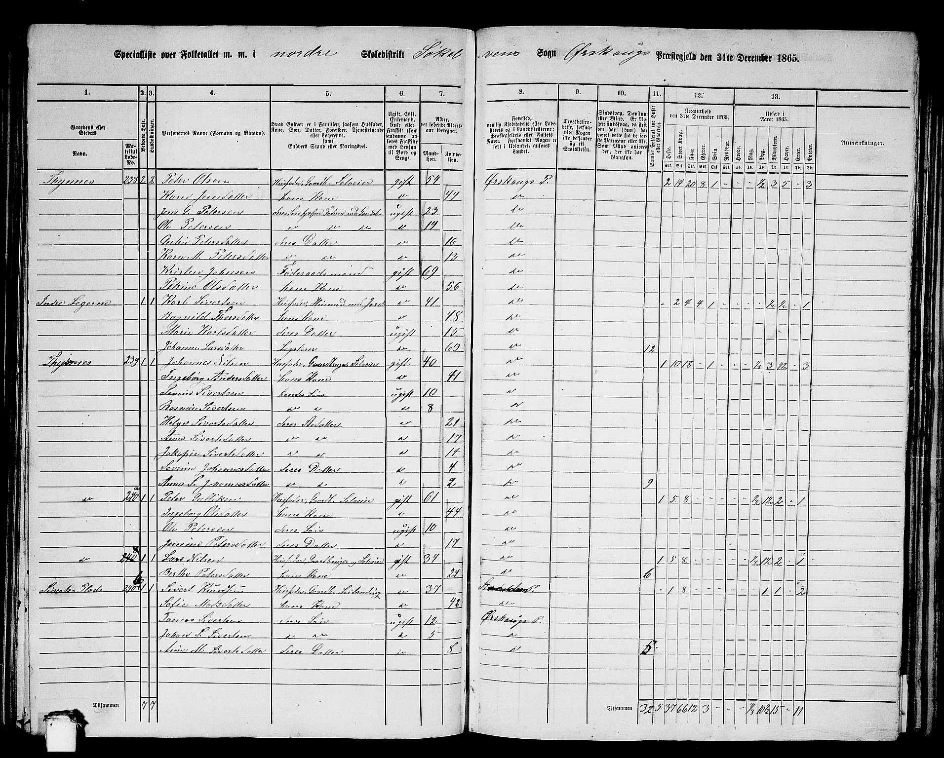 RA, 1865 census for Ørskog, 1865, p. 100