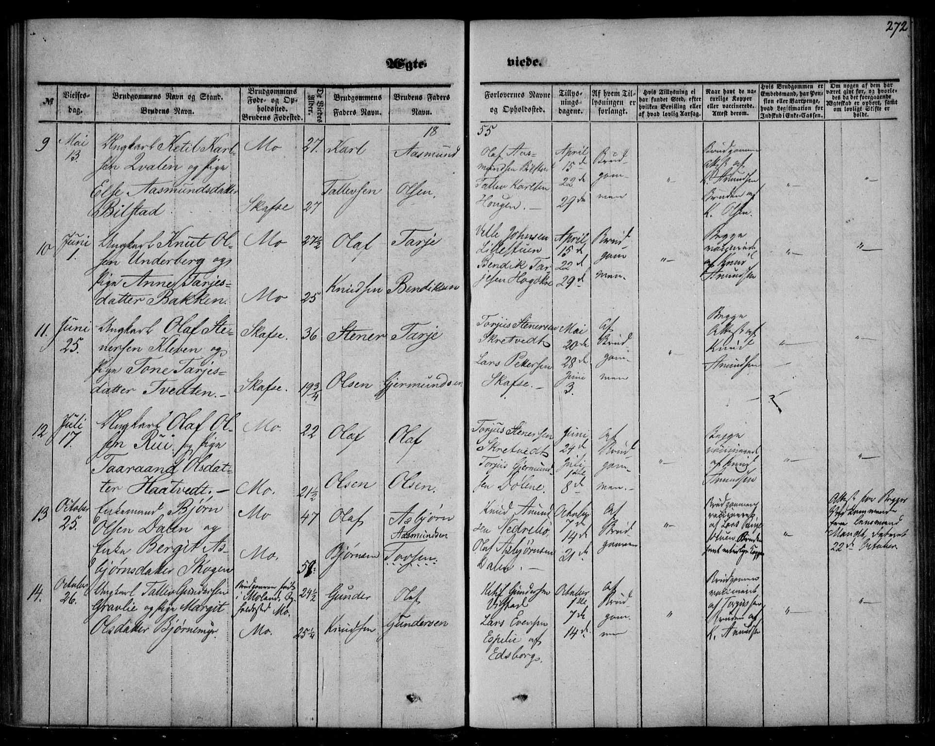 Mo kirkebøker, AV/SAKO-A-286/F/Fa/L0005: Parish register (official) no. I 5, 1844-1864, p. 272