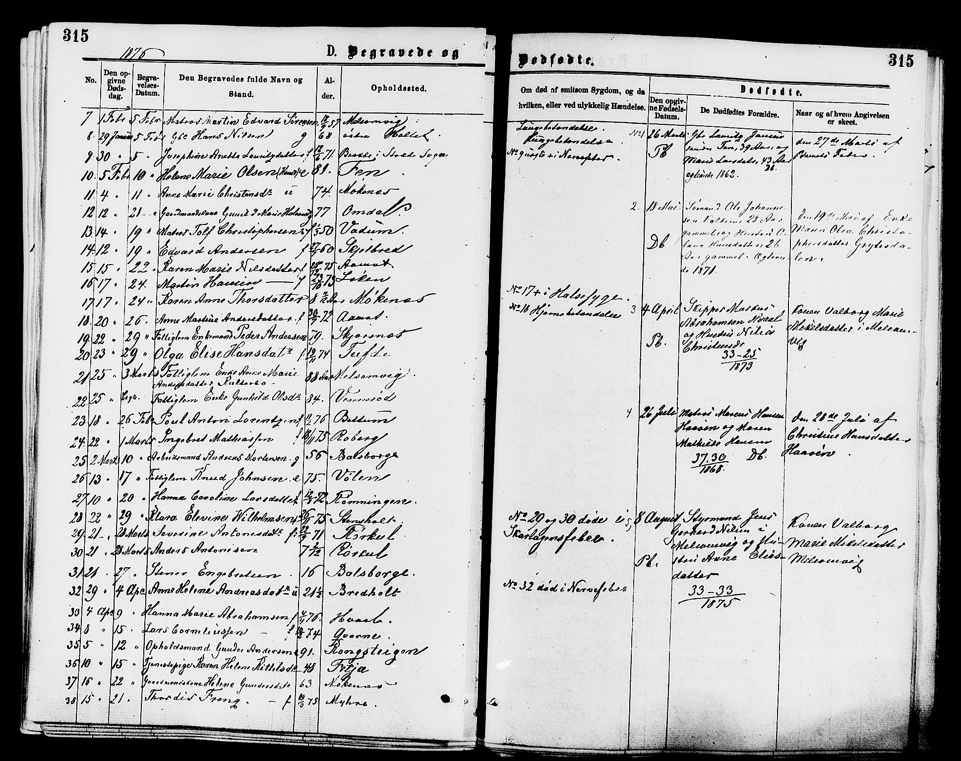 Stokke kirkebøker, AV/SAKO-A-320/F/Fa/L0009: Parish register (official) no. I 9, 1872-1883, p. 315