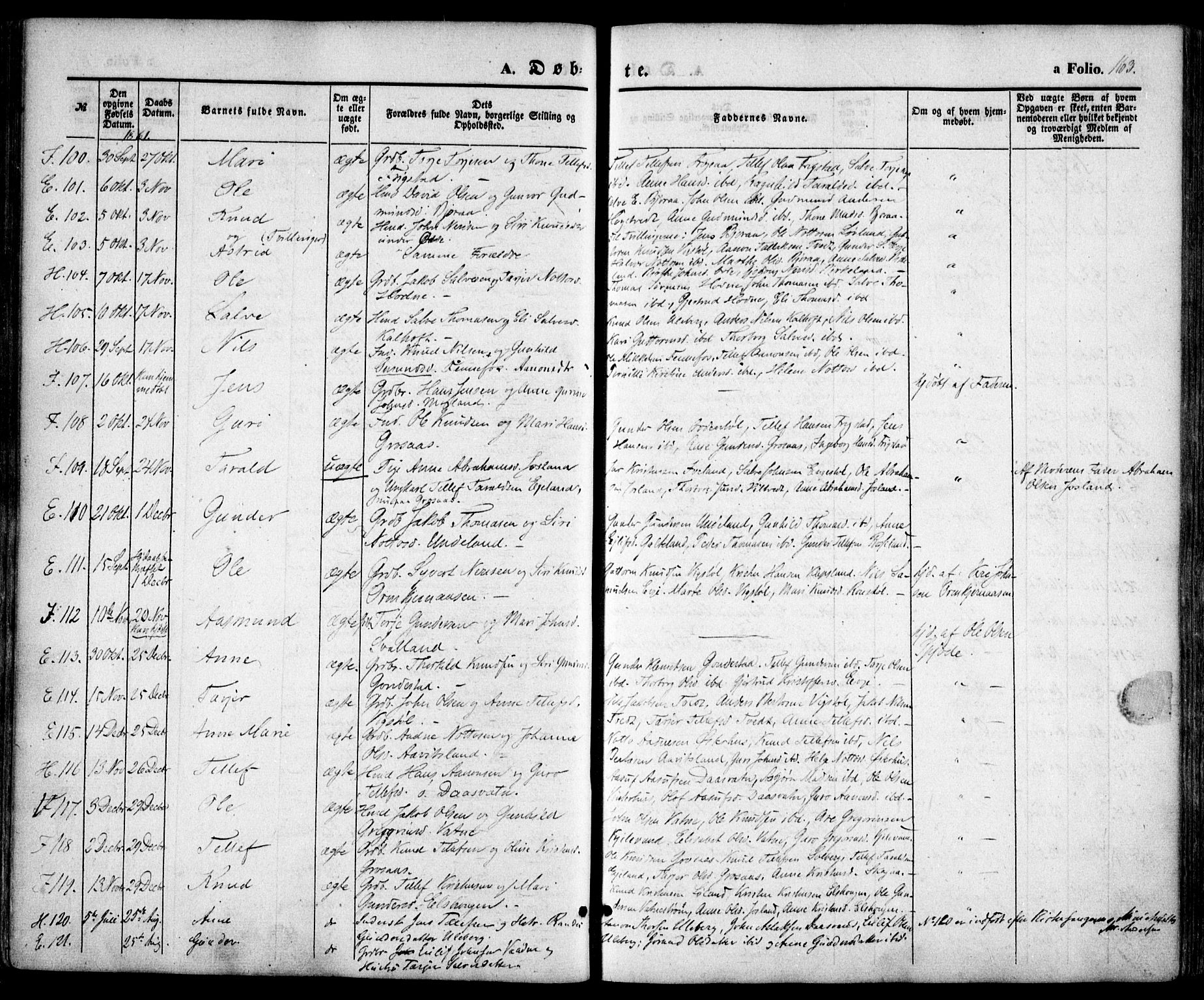 Evje sokneprestkontor, AV/SAK-1111-0008/F/Fa/Faa/L0005: Parish register (official) no. A 5, 1843-1865, p. 163